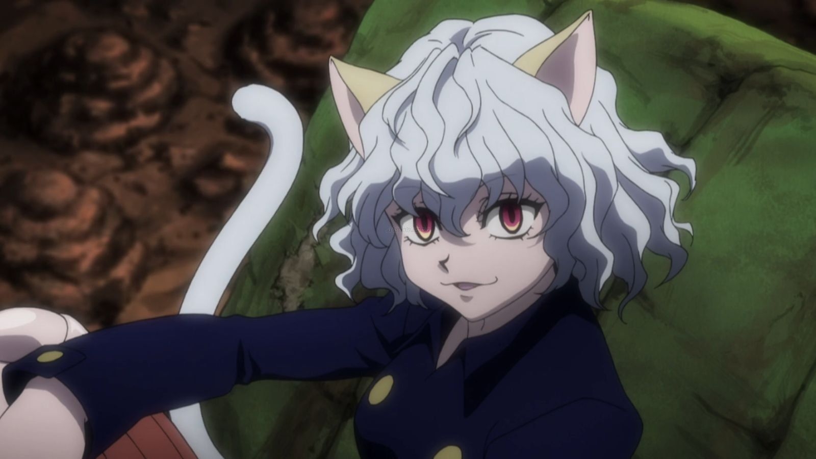 1600x900 Neferpitou • Hunter x Hunter 2011 • Absolute Anime, Desktop