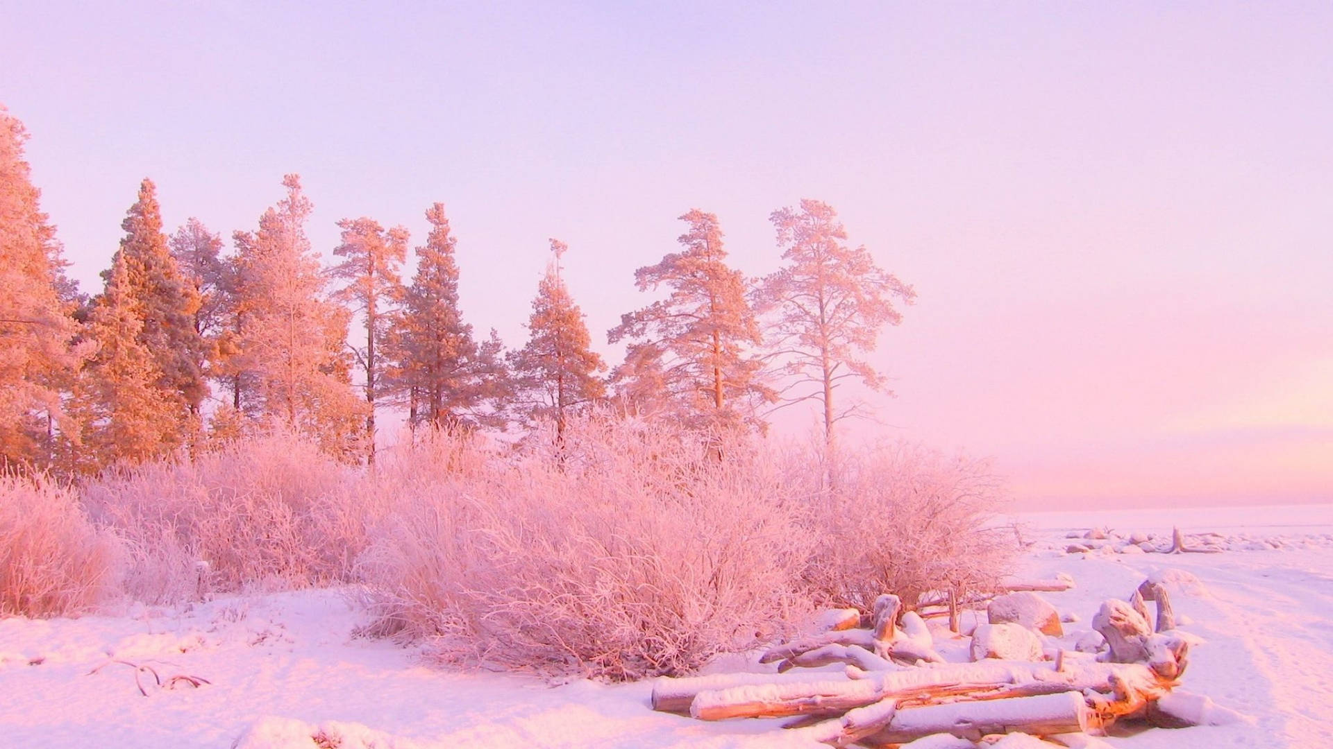 1920x1080 Download December Pink Winter Wonderland Wallpaper, Desktop