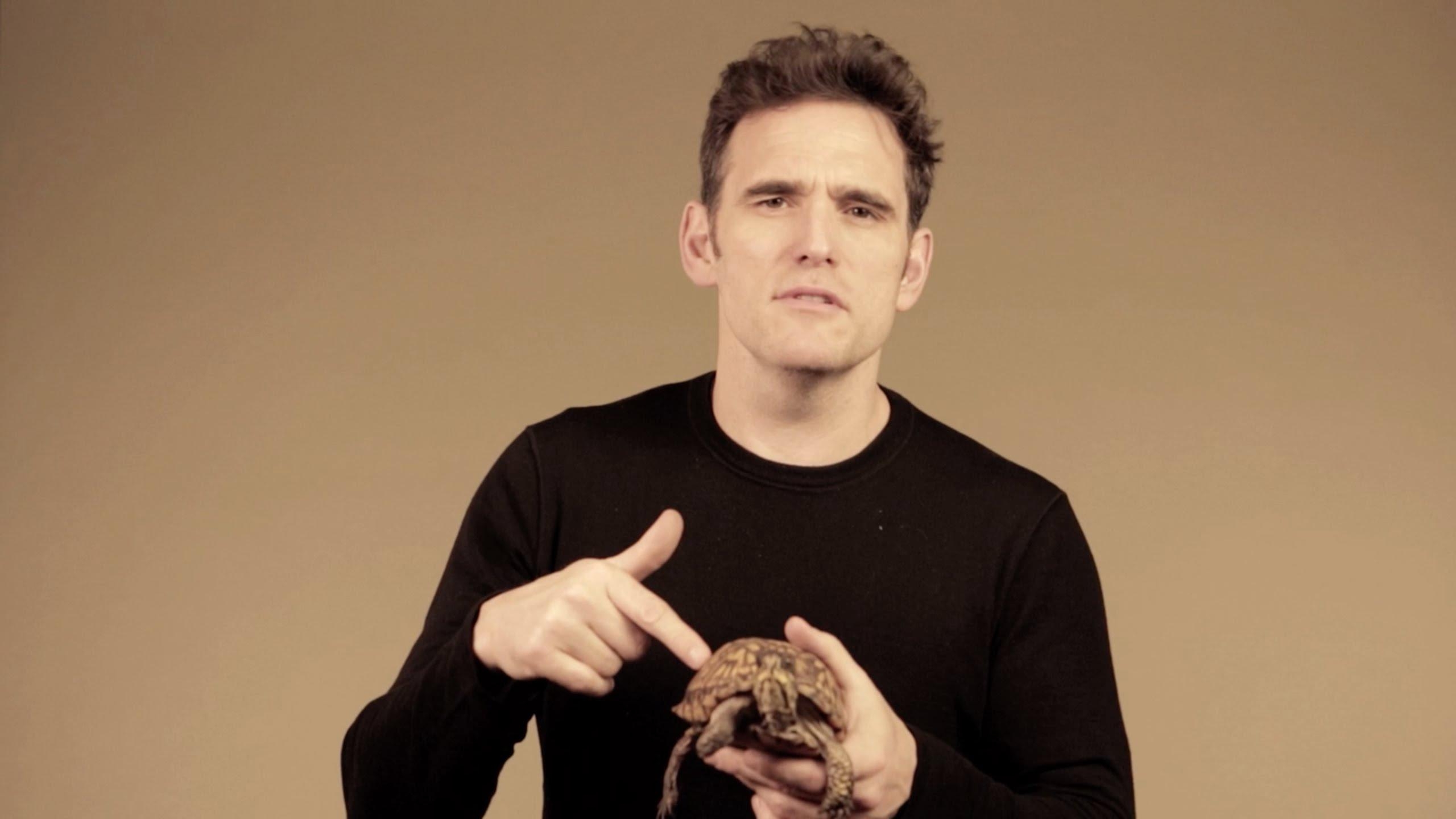 2560x1440 Picture of Matt Dillon Of Celebrities, Desktop