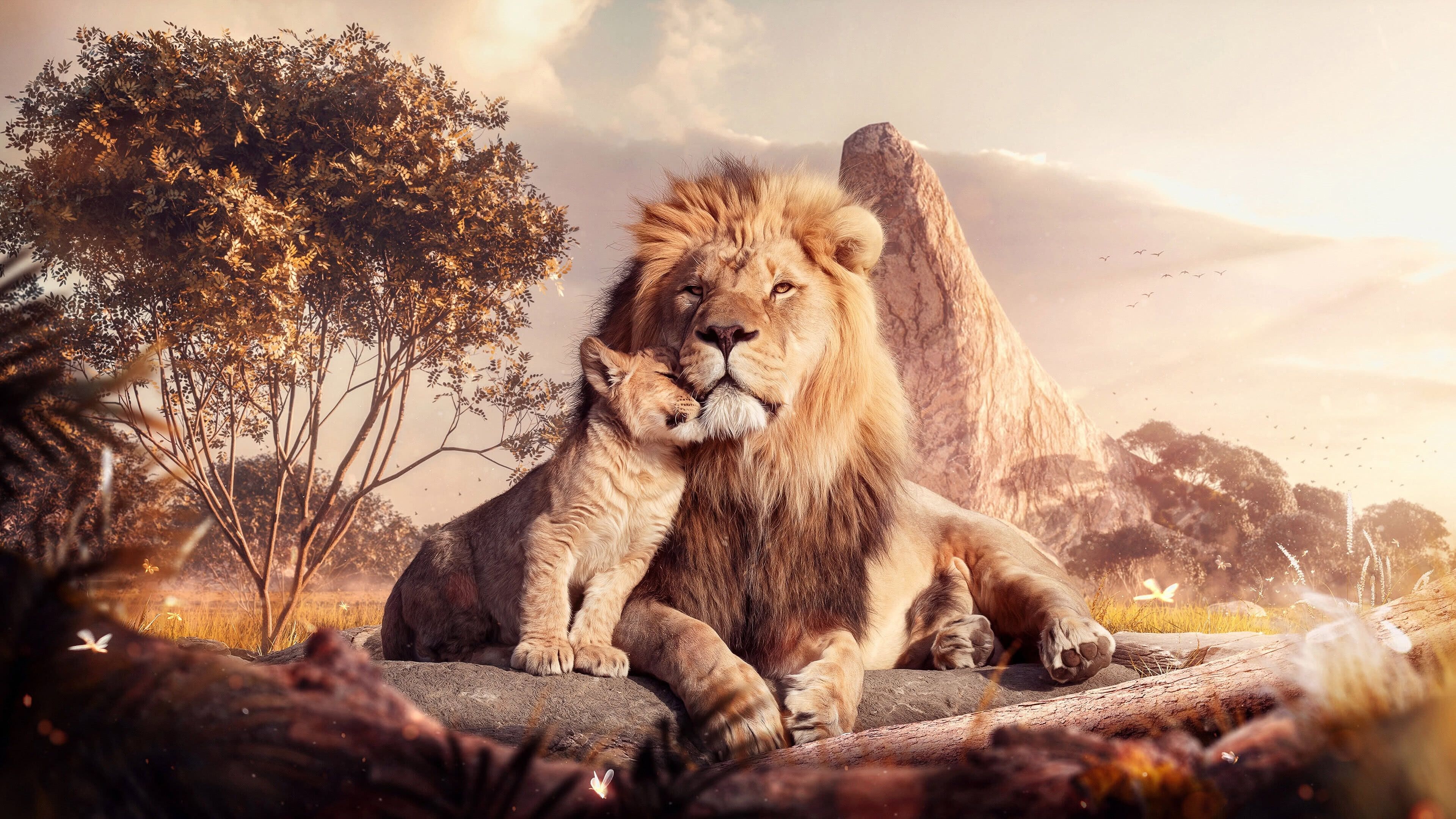 3840x2160 Lion And Cub UHD 4K Wallpaper, Desktop