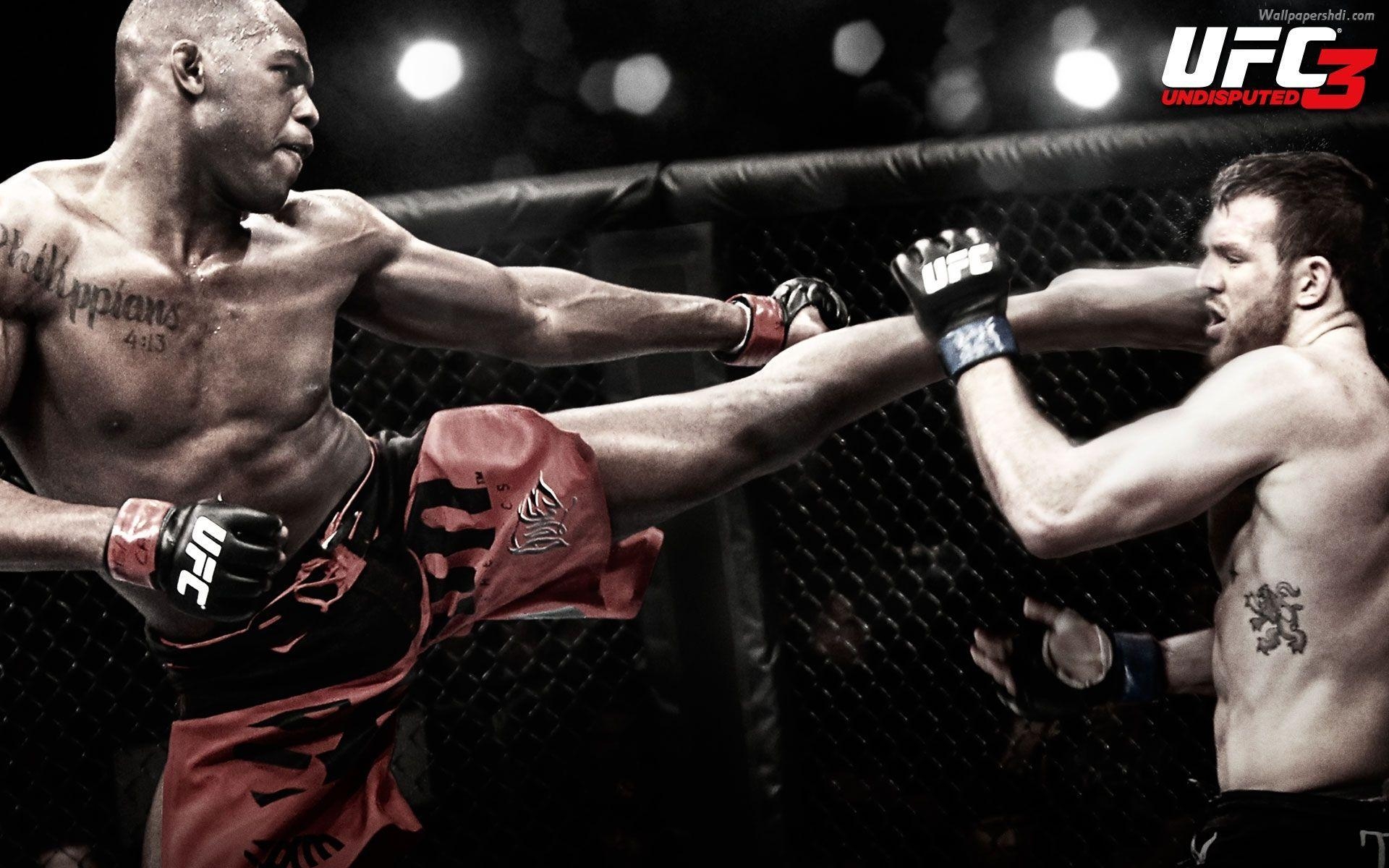 1920x1200 Wallpaper Jon Jones UFC 2013 Wallpaper, Desktop