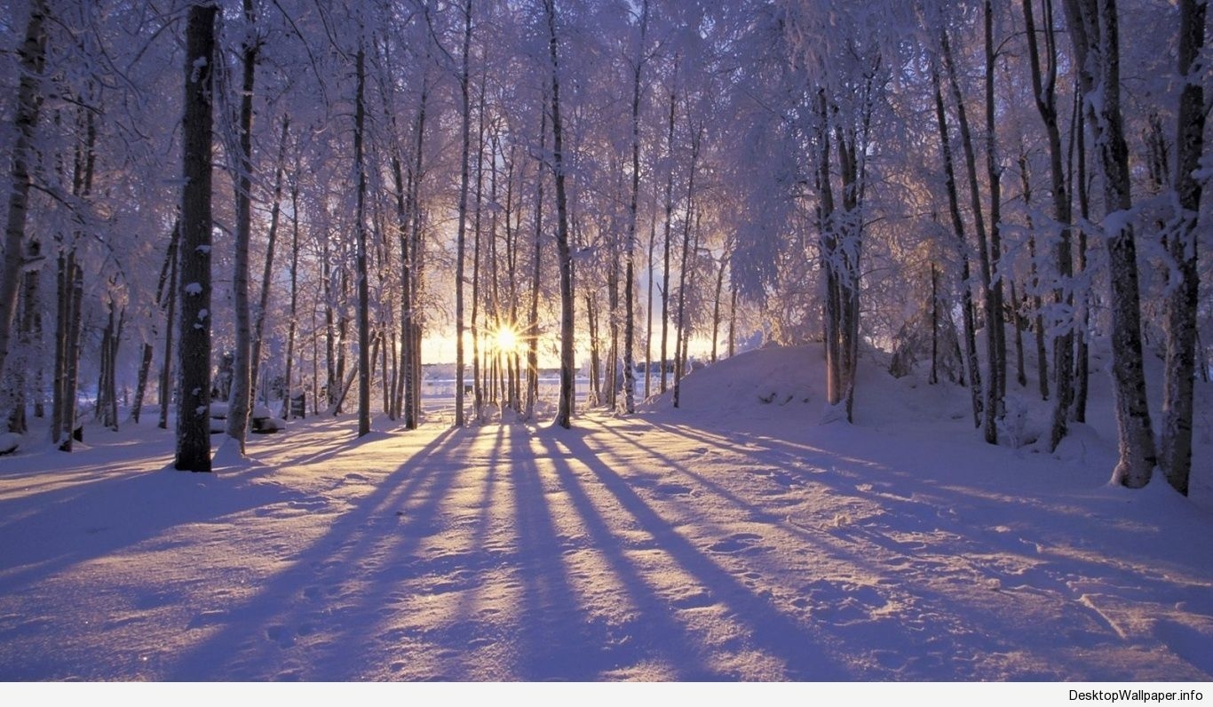 1370x800 Laptop Winter Wallpaper Free Laptop Winter Background, Desktop