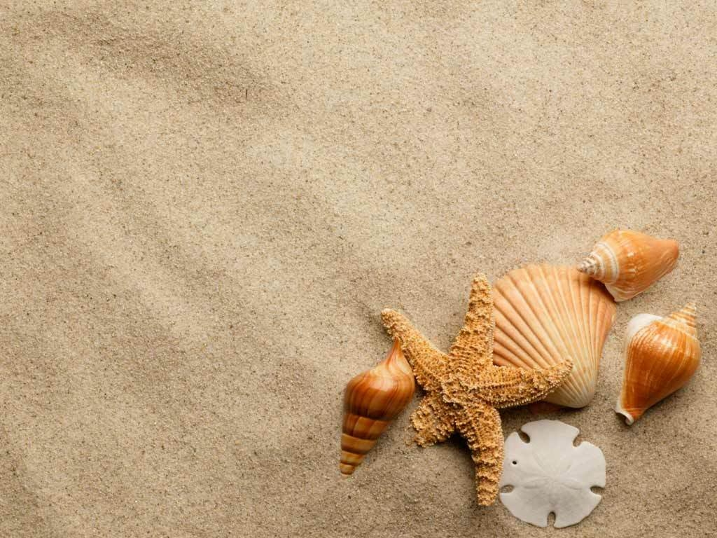1030x770 Sunset Sandy Beach Beautiful Image Sunsets 90474, Desktop
