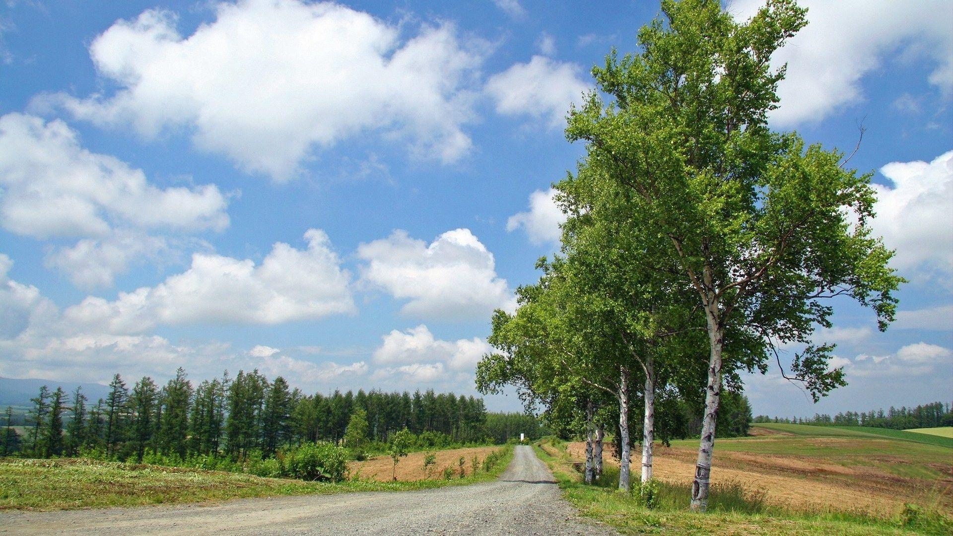 1920x1080 Rural road in hokkaido japan wallpaper. PC, Desktop