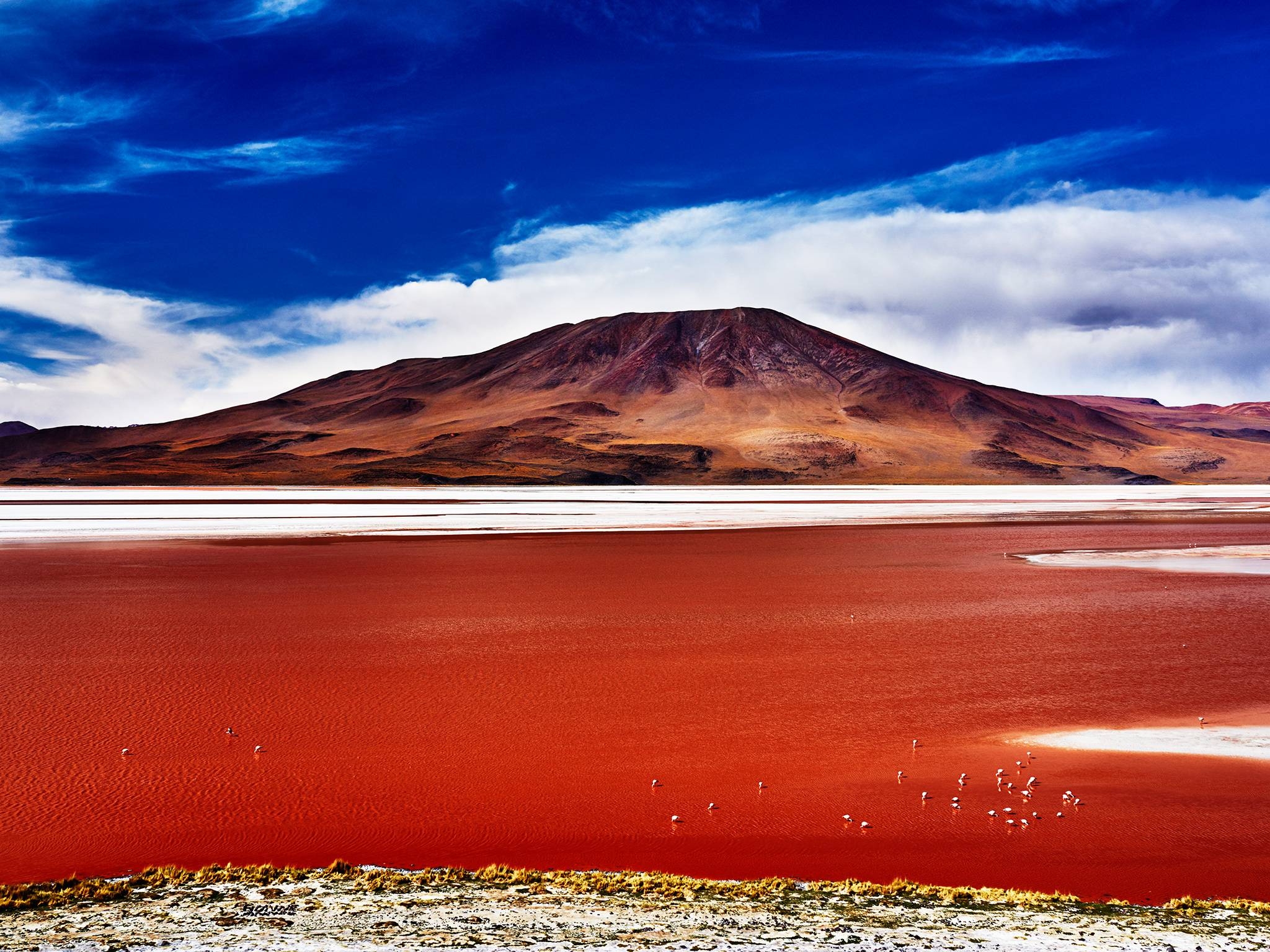 2050x1540 Laguna Colorada Traveller Uyuni, Desktop