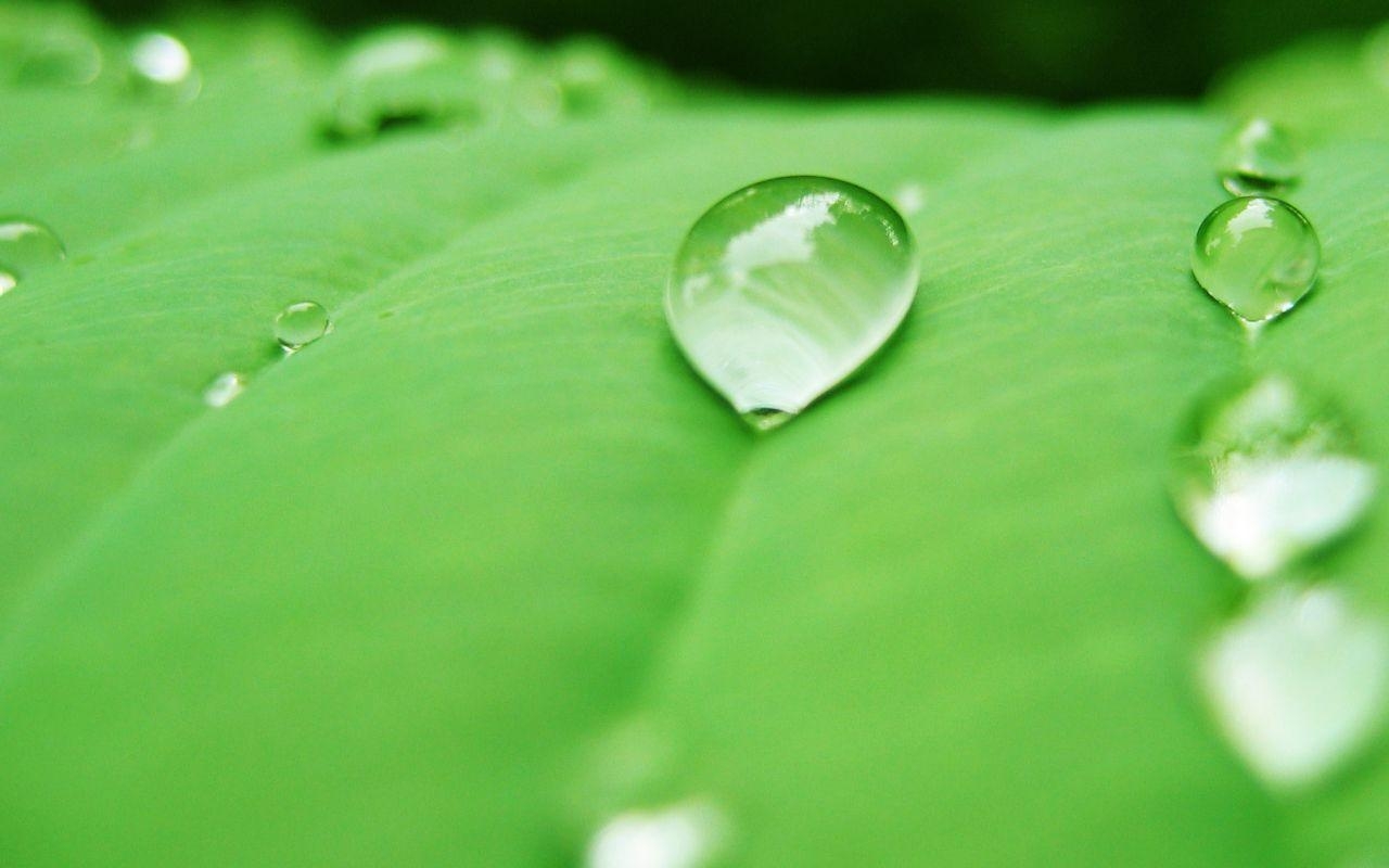 1280x800 Water Drop Wallpaper 3462  px, Desktop