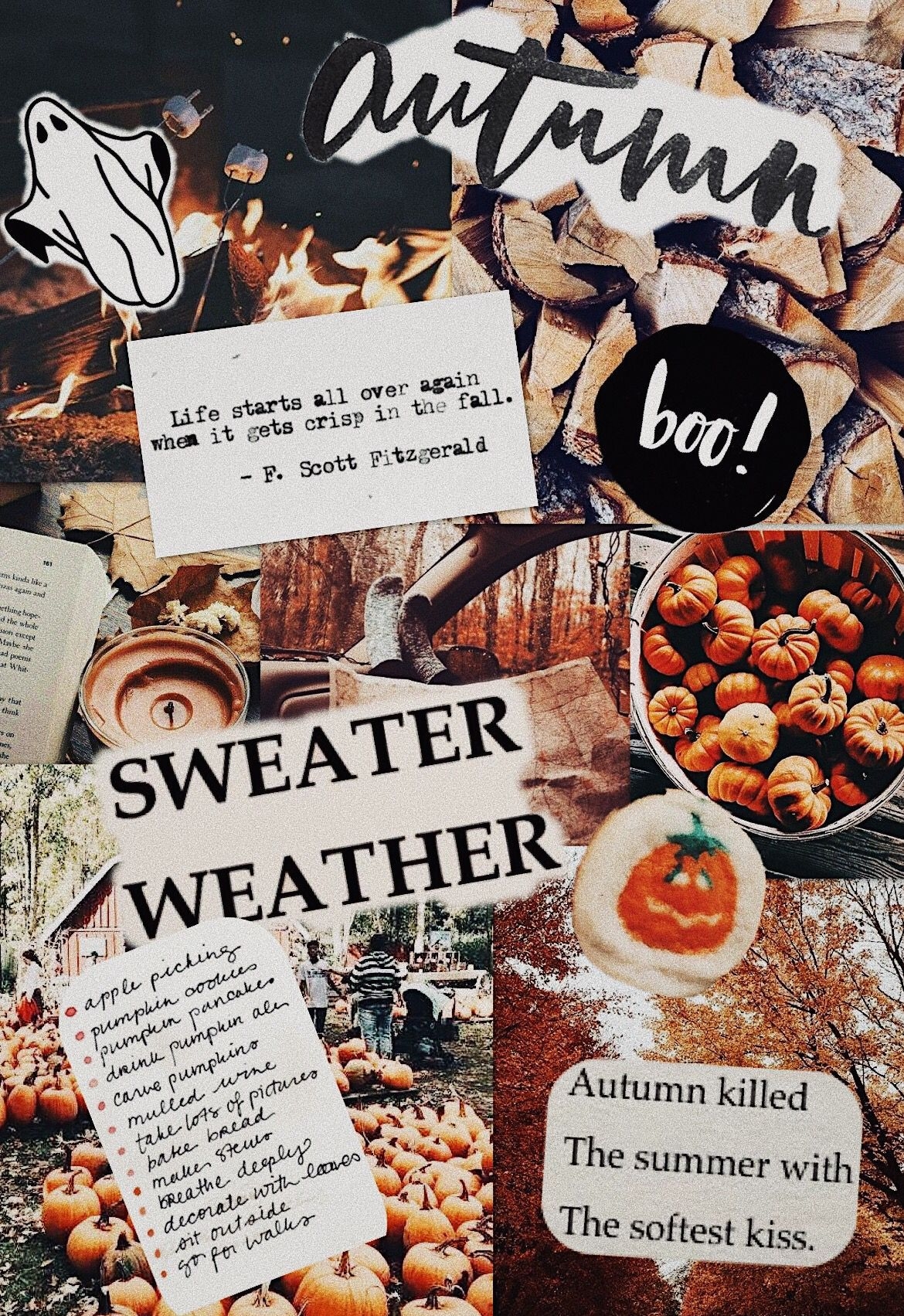 1170x1710 Fall Collage. Fall wallpaper, iPhone wallpaper fall, Cute fall wallpaper, Phone