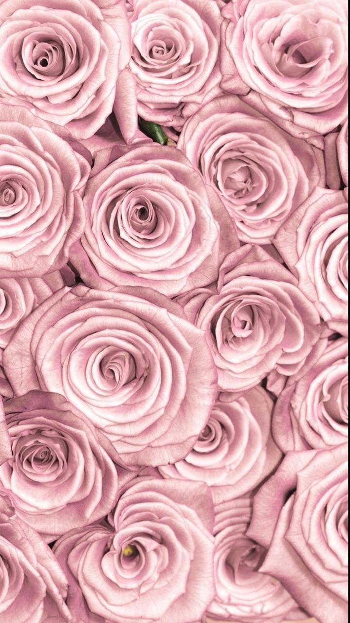 720x1280 Aesthetic Tumblr Rose Gold Baddie Aesthetic Rose Gold Tumblr Wallpaper iPhone, Phone