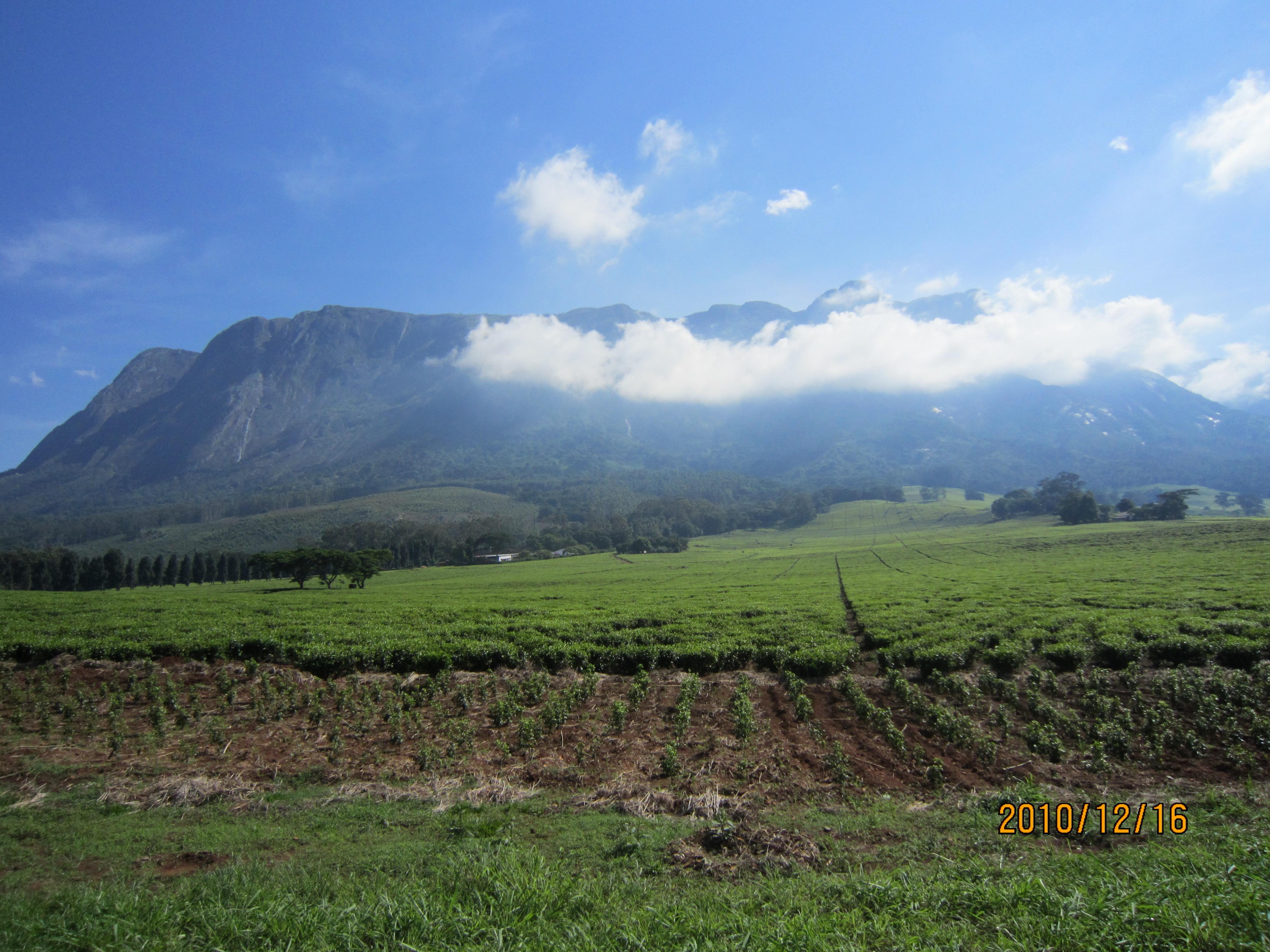 4320x3240 Mulanje, Desktop