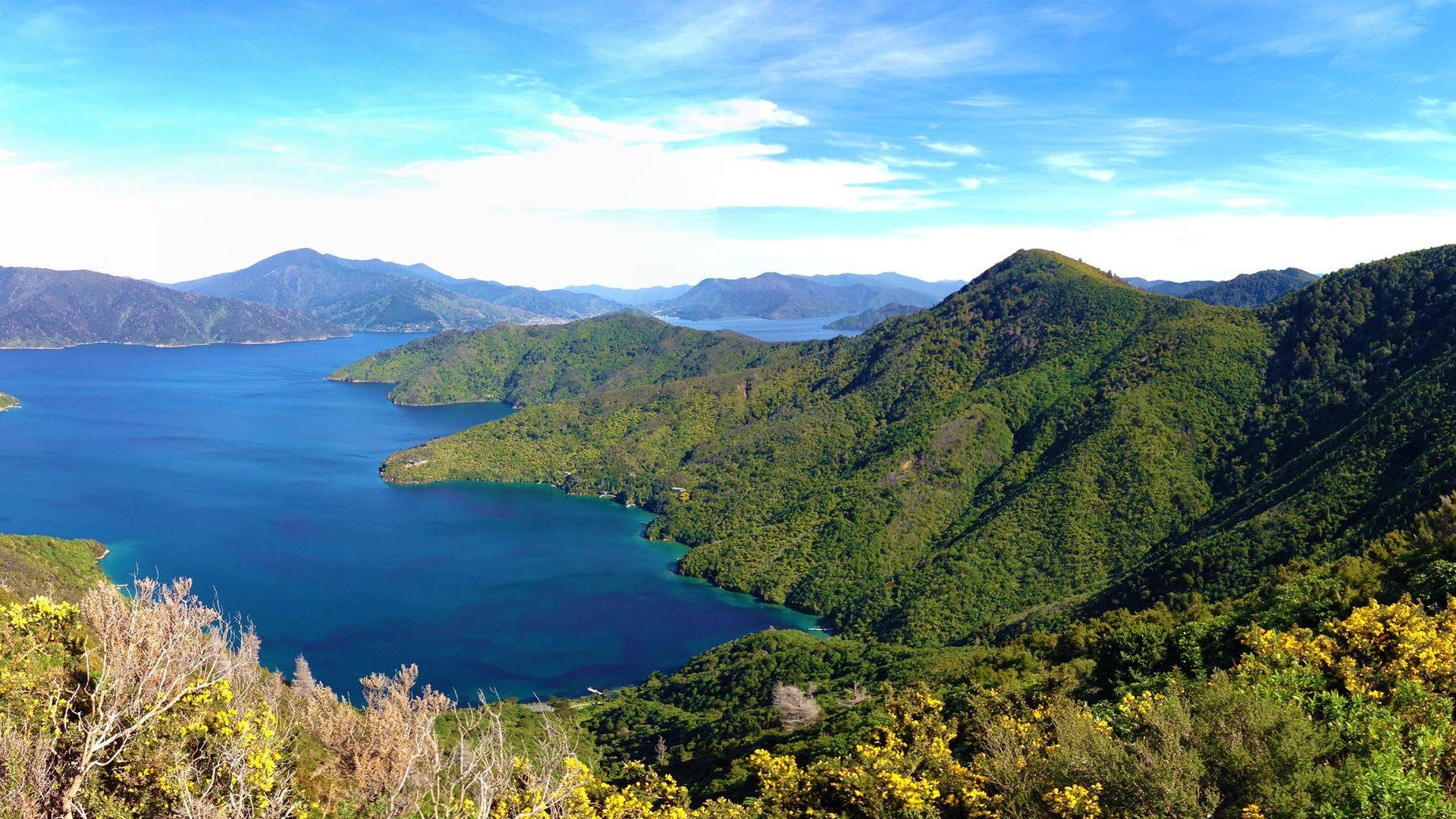 1920x1080 Queen Charlotte Track Marlborough Sounds New Zealand Wallpaper. HD, Desktop