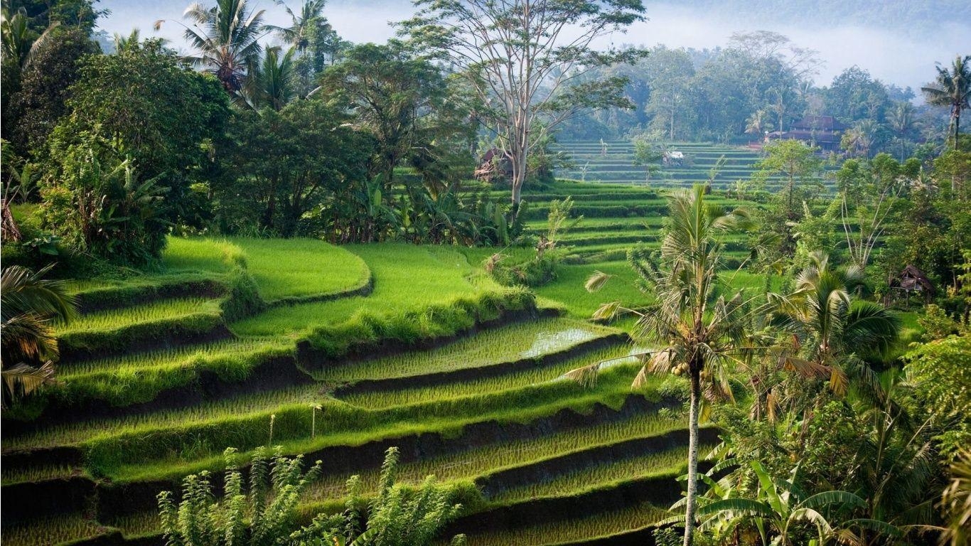 1370x770 Indonesia Nature Wallpaper, Desktop