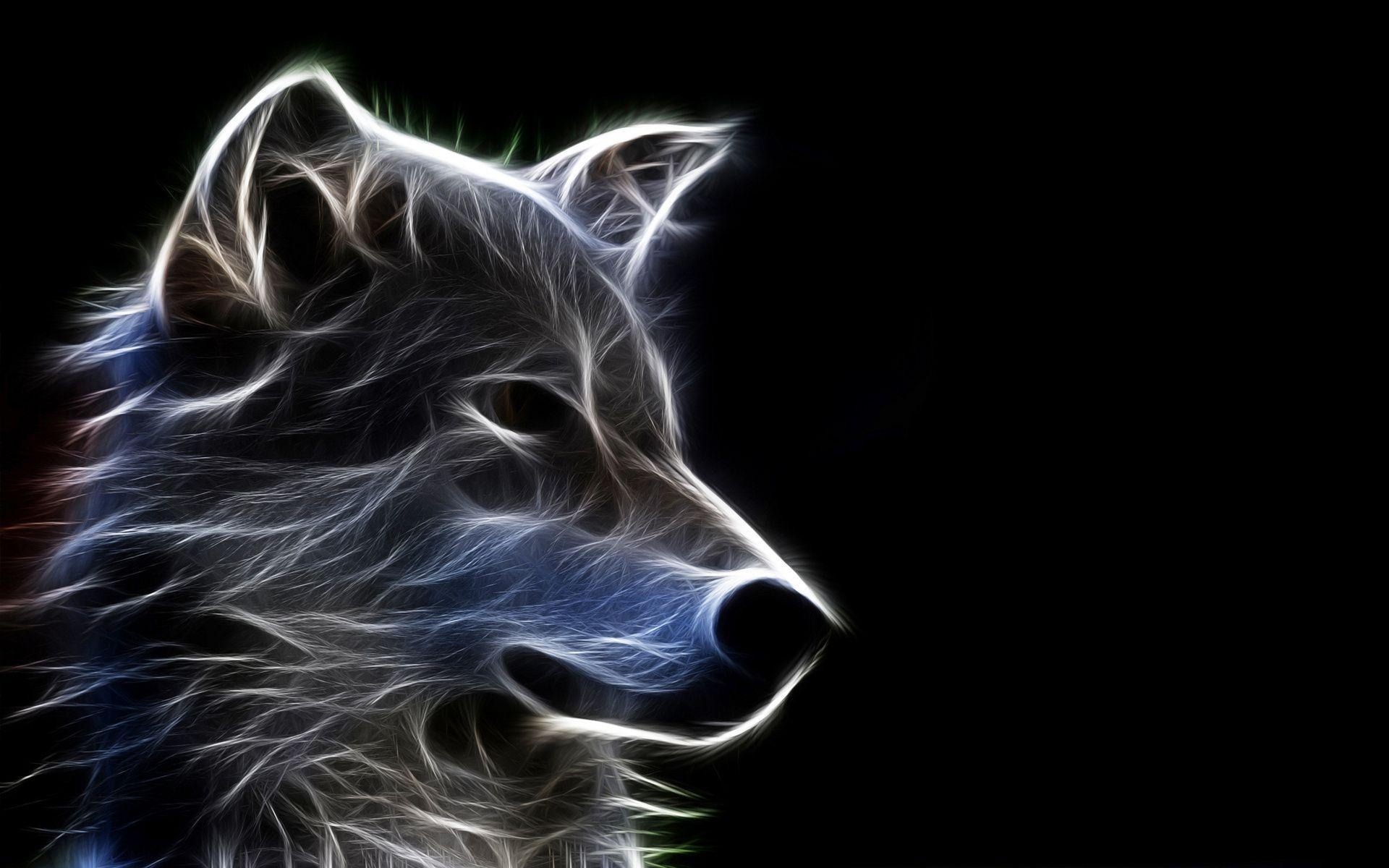 1920x1200 Cool Wolf Wallpaper, Desktop