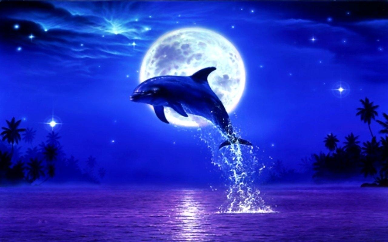 1280x800 Dolphins Wallpaper, Desktop