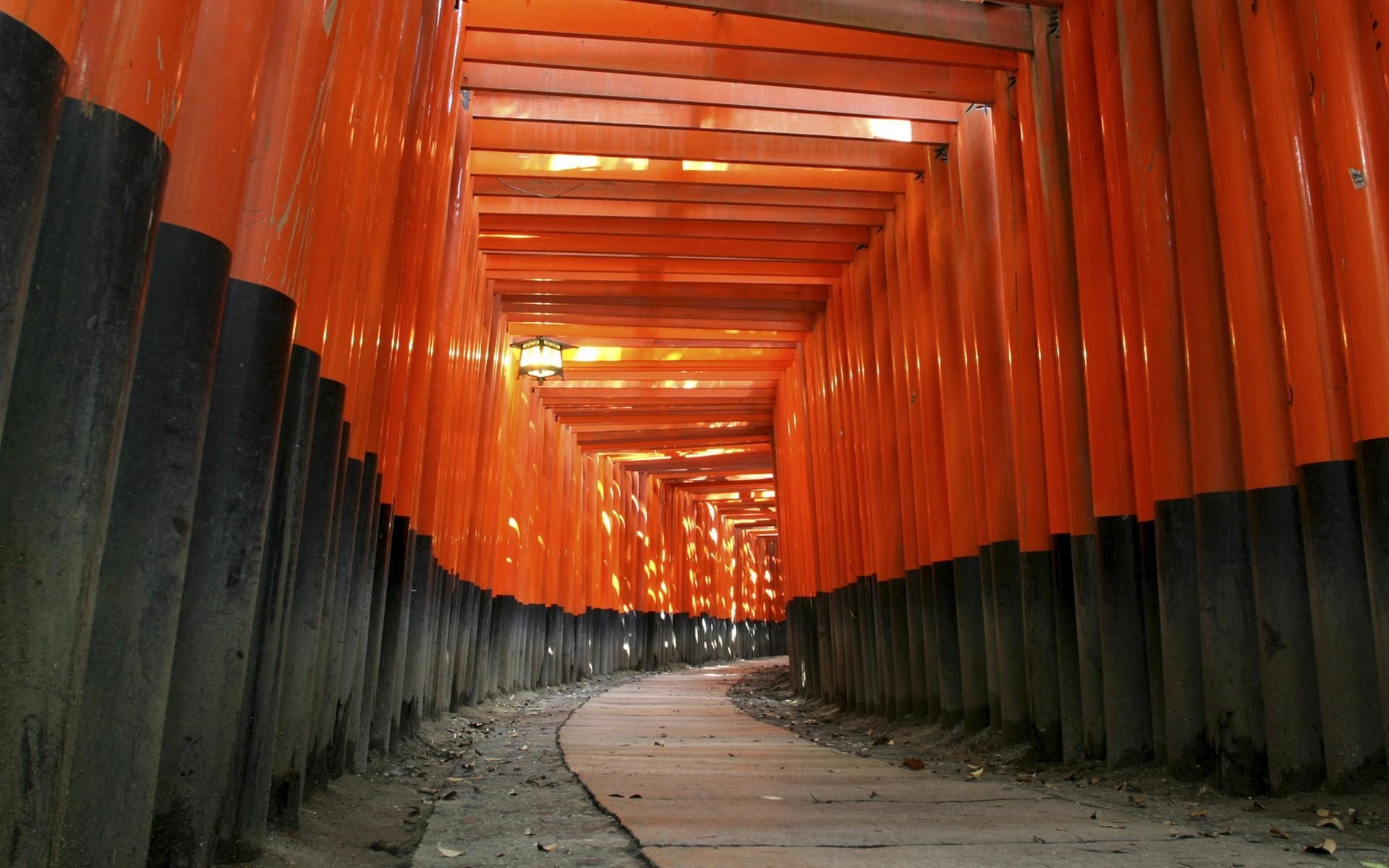 1920x1200 Japan architecture torii Japanese architecture Fushimi Inari Shrine, Desktop