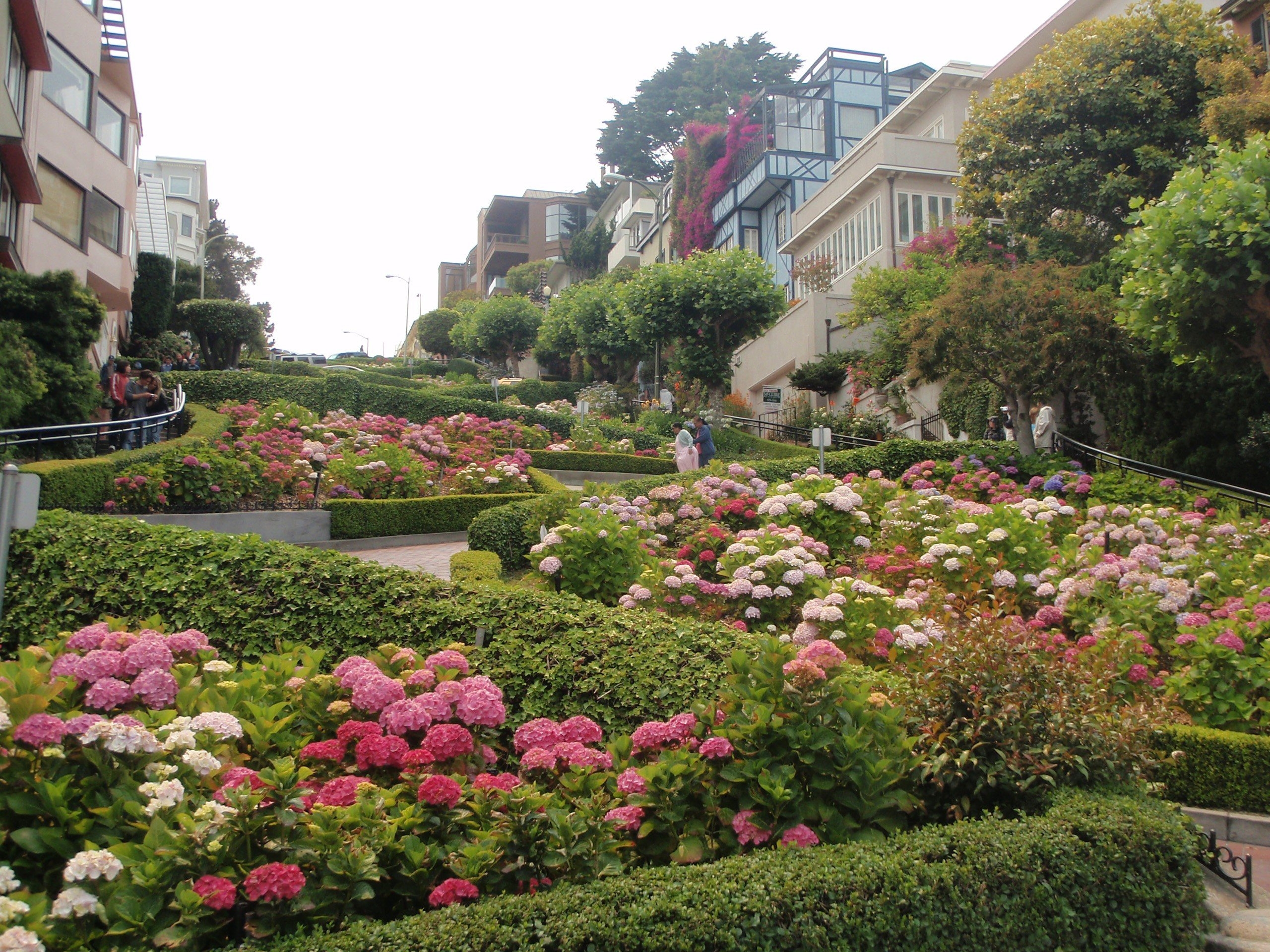 2560x1920 Streets architecture garden buildings San Francisco wallpaper, Desktop