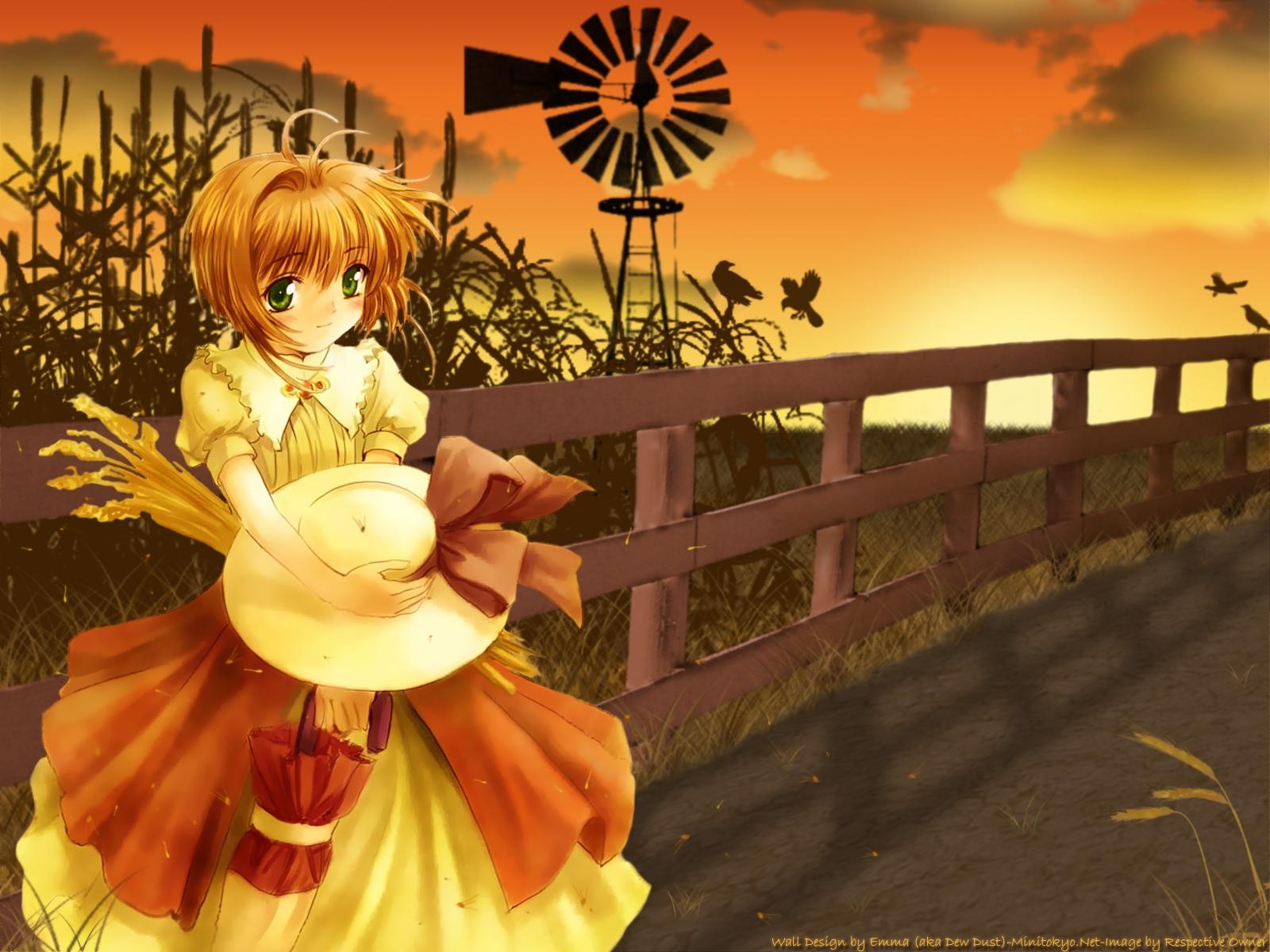 1600x1200 CardCaptor Sakura « «Anime wallpaper «Anime wallpaper, Desktop