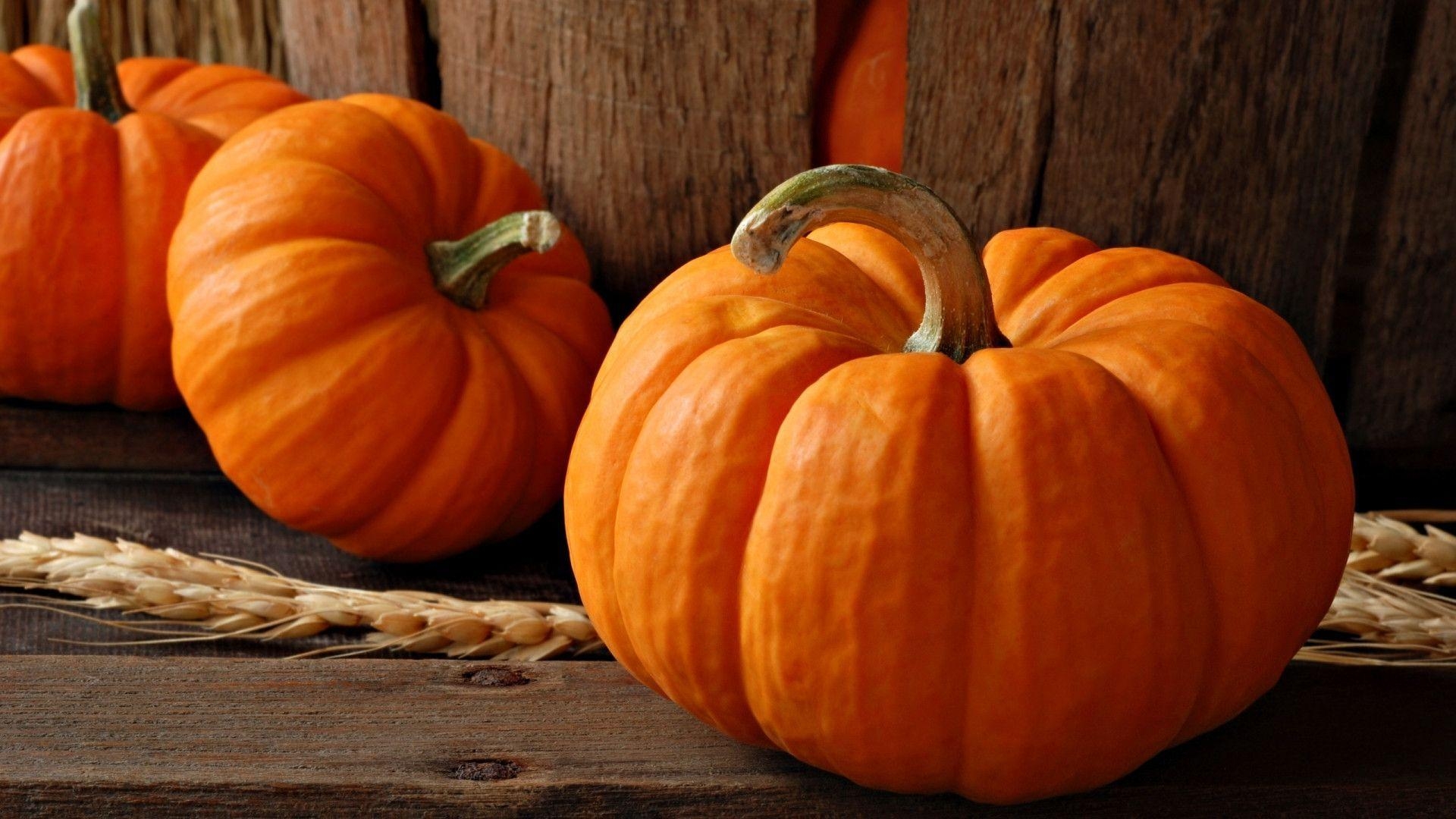 1920x1080 flower mound pumpkin patch wallpaper, Desktop