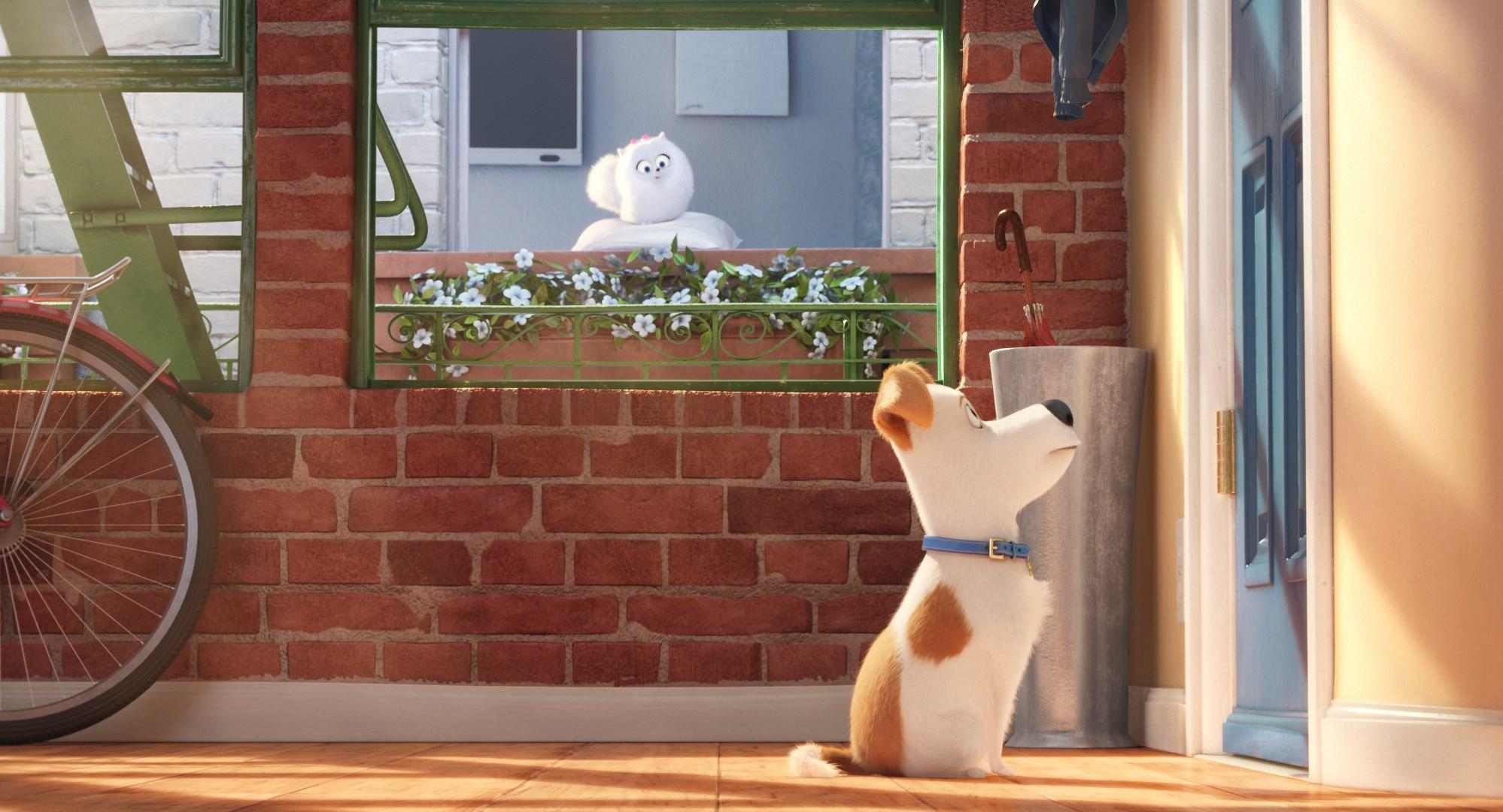 2000x1080  wallpaper desktop the secret life of pets. Movie, Desktop