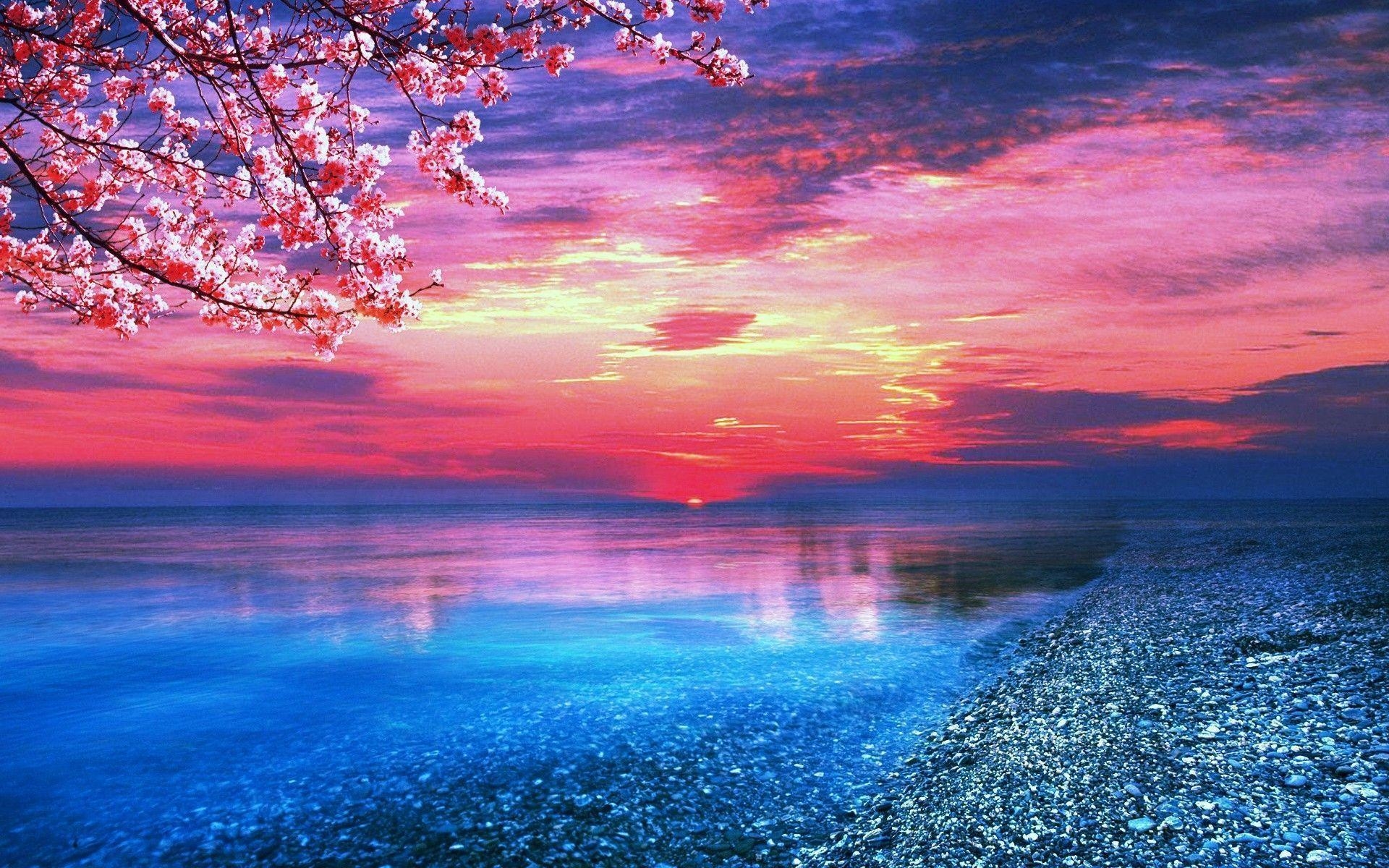 1920x1200 Blue And Pink Nature Wallpaper, Desktop