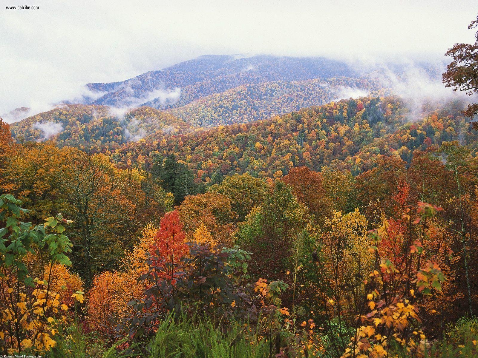 1600x1200 Nature: Lush Landscape Appalachian Mountains North Carolina, picture, Desktop