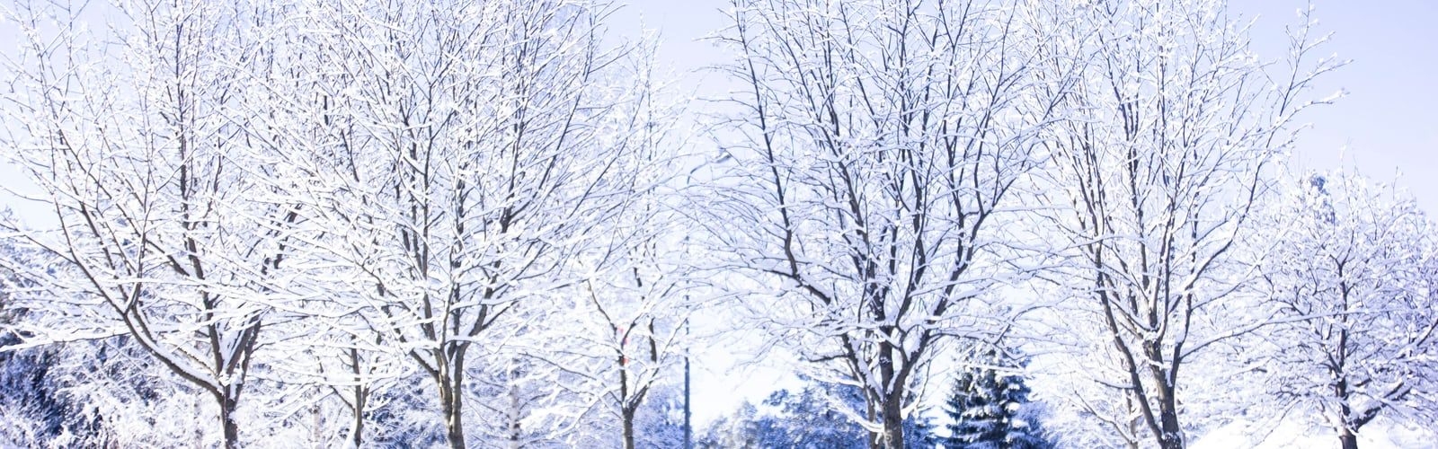 1600x500 Winter laptop wallpaper best free wallpaper, winter, snow and outdoor photo, Dual Screen