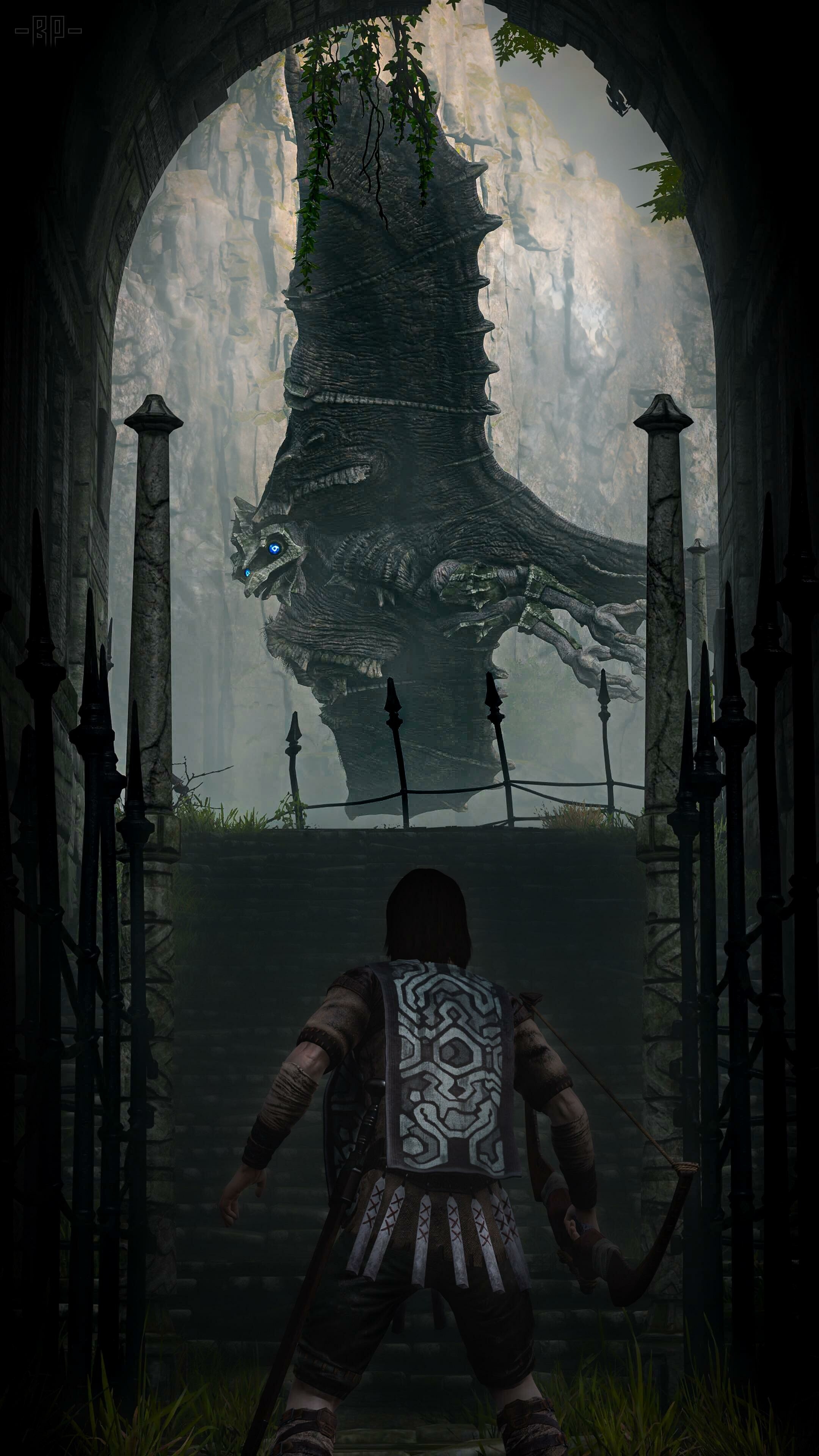 2160x3840 Shadow of the Colossus Wallpaper (image inside), Phone