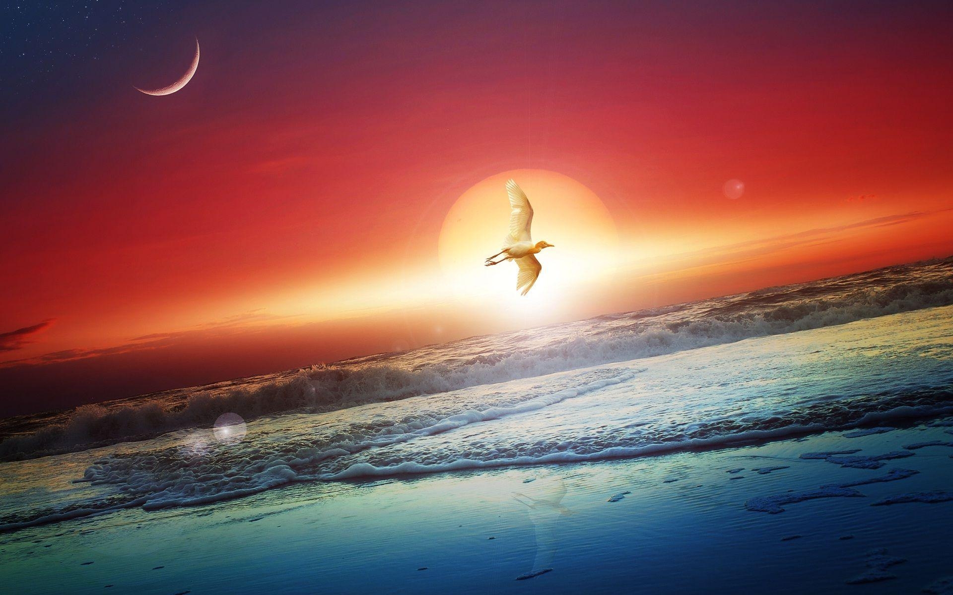 1920x1200 Good night and good evening wallpaper, Desktop