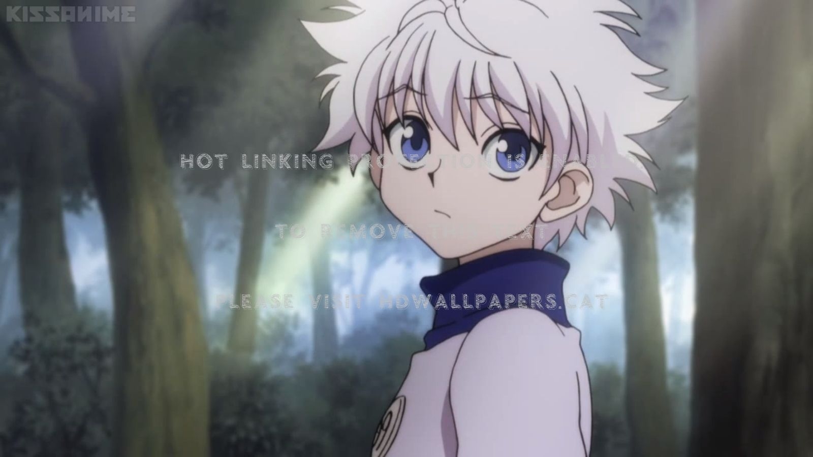 1600x900 killua spiky hair tree anime cute sweet guy, Desktop