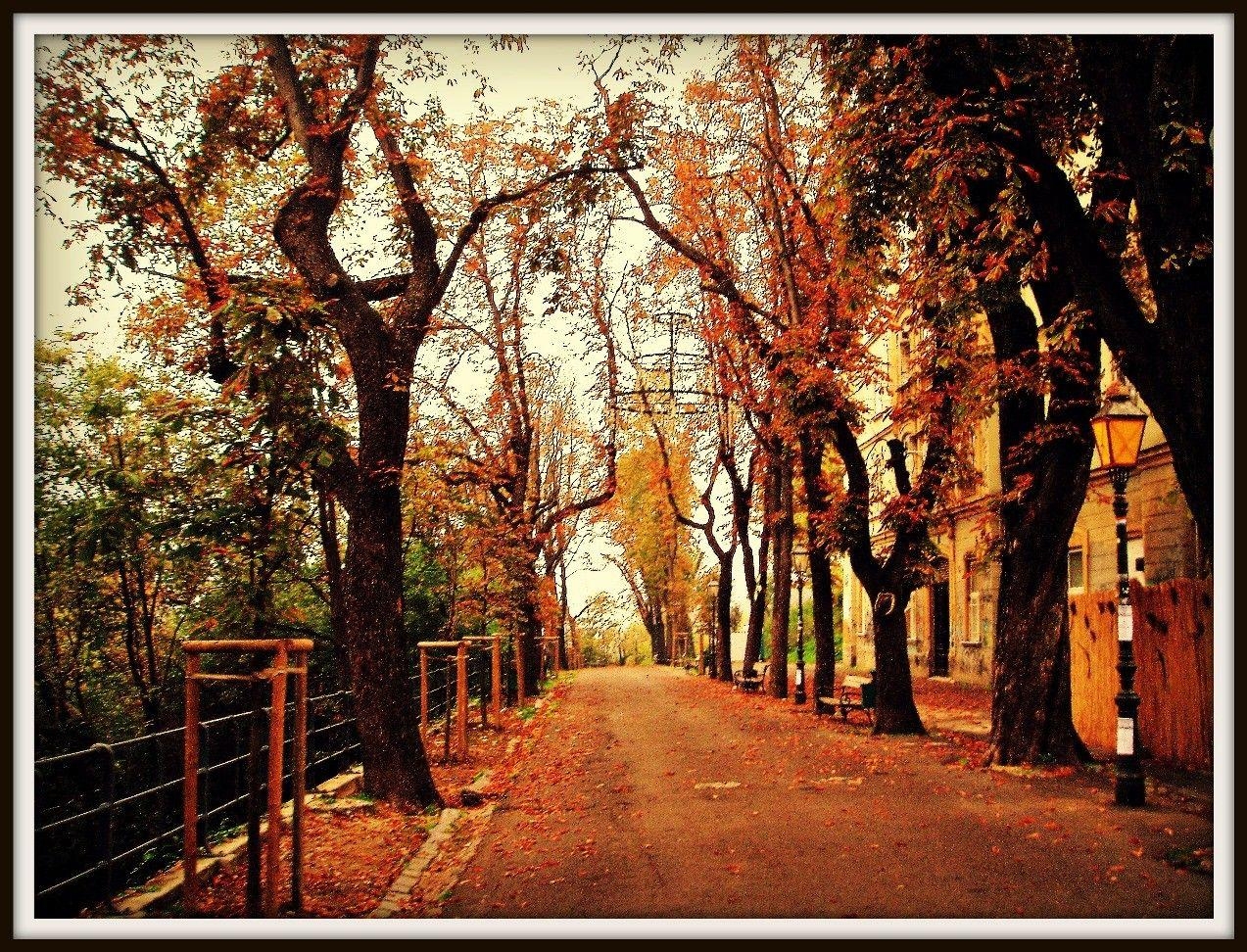 1280x980 Other: Zagreb Autumn Path Street Croatia Golden Leaves Trees Dual, Desktop