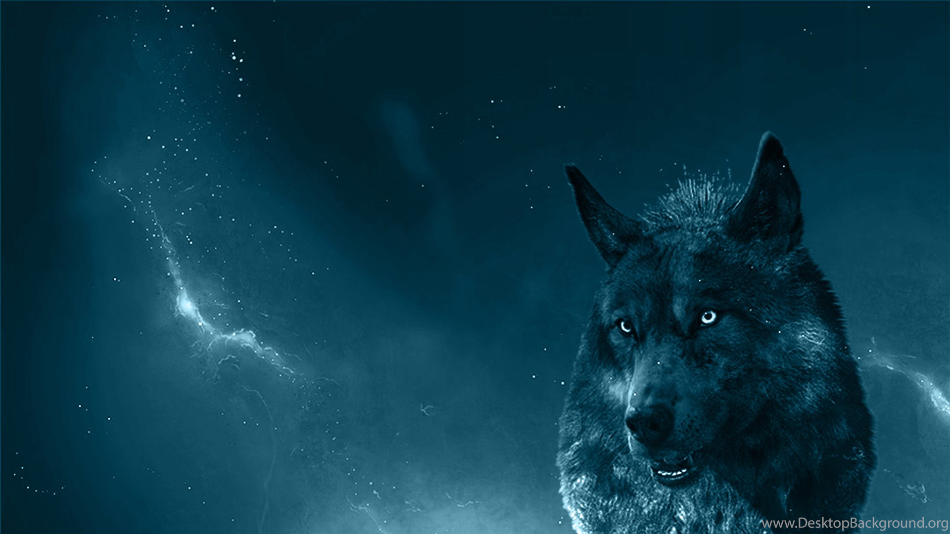 1920x1080 Wolf Wallpaper Download Wolf Wallpaper & Background Download, Desktop