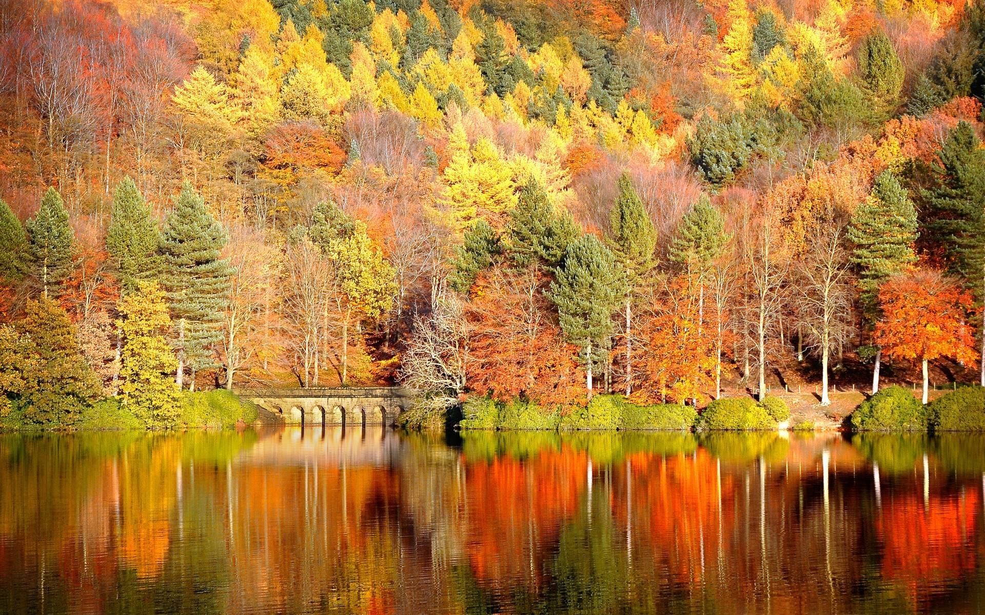 1920x1200 Background Autumn (25 Wallpaper), Desktop