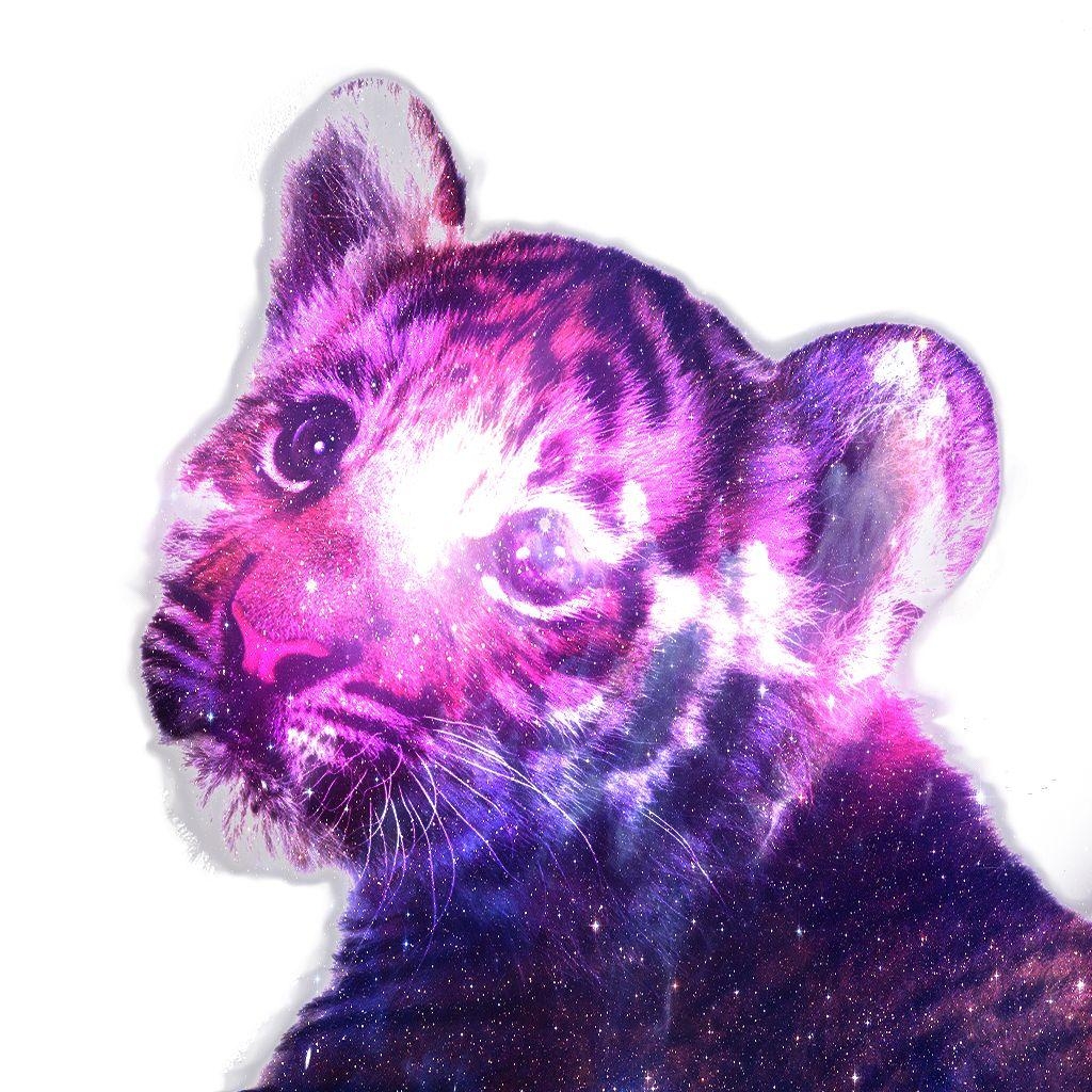 1030x1030 Hipster Tiger Galaxy Wallpaper Free Hipster Tiger Galaxy, Phone