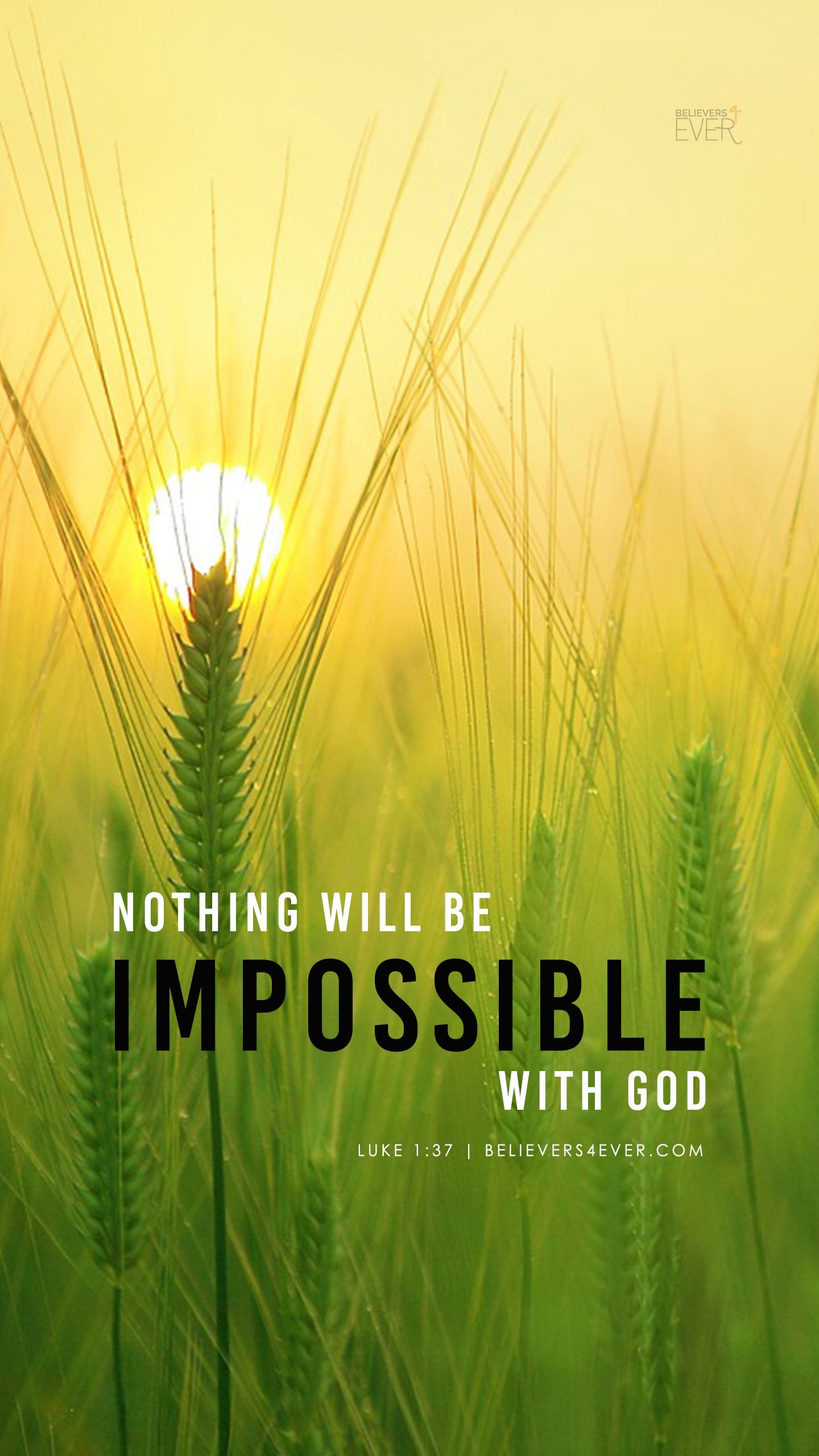 1440x2570 Nothing will be impossible with God, Phone