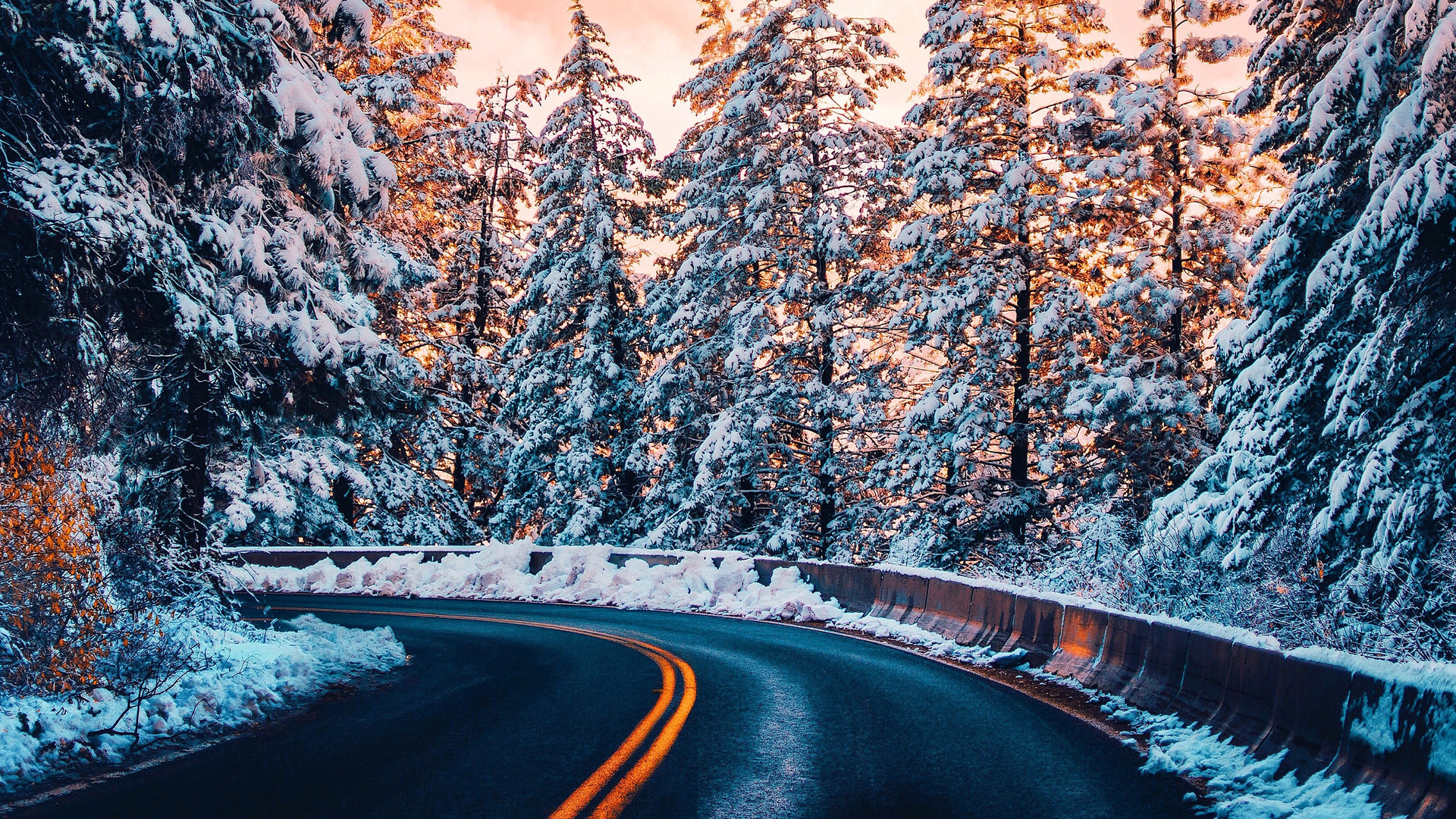 1920x1080 Road Trees Winter 4k Laptop Full HD 1080P HD 4k Wallpaper, Image, Background, Photo and Picture, Desktop