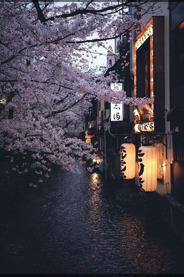 740x1110 Aesthetic Wallpaper Japan, Phone