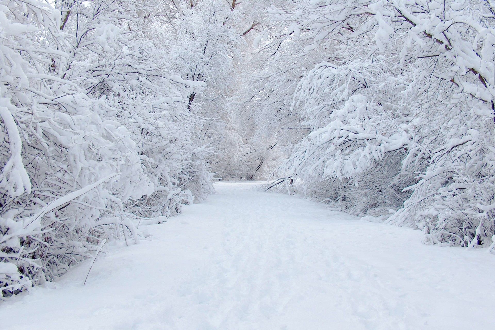 1920x1280 Snow. Walking through fresh snow, leaving the first footprints. Winter snow wallpaper, Winter wallpaper, Winter wonderland wallpaper, Desktop