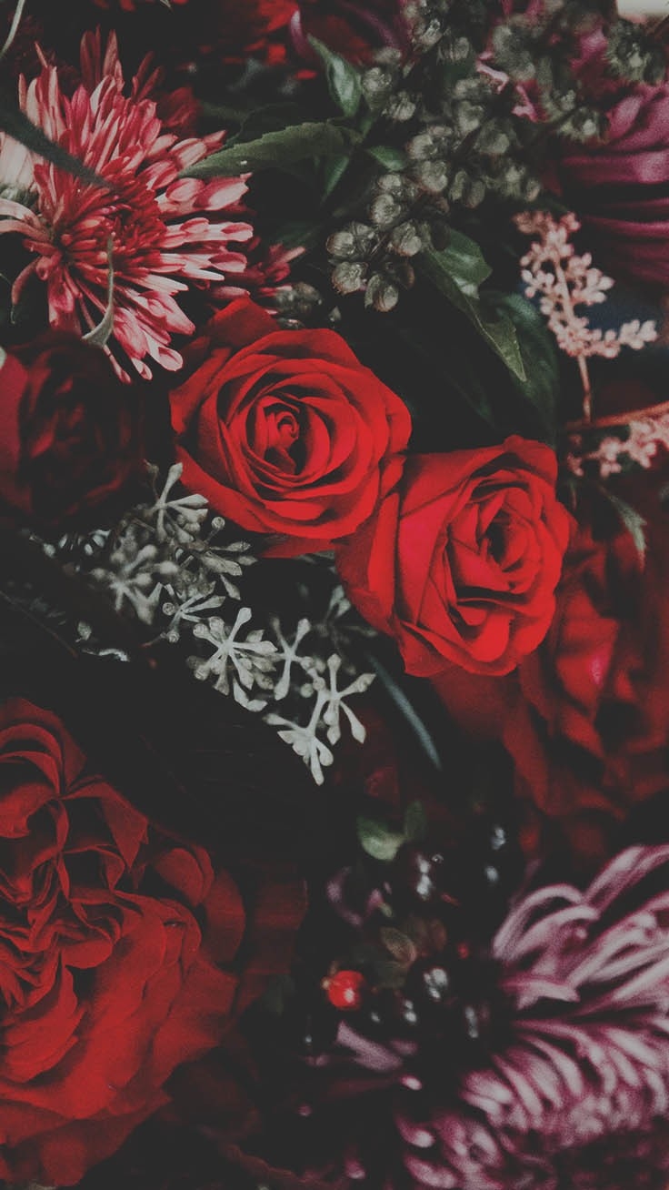 740x1310 Beautiful Roses Wallpaper Background For iPhone, Phone