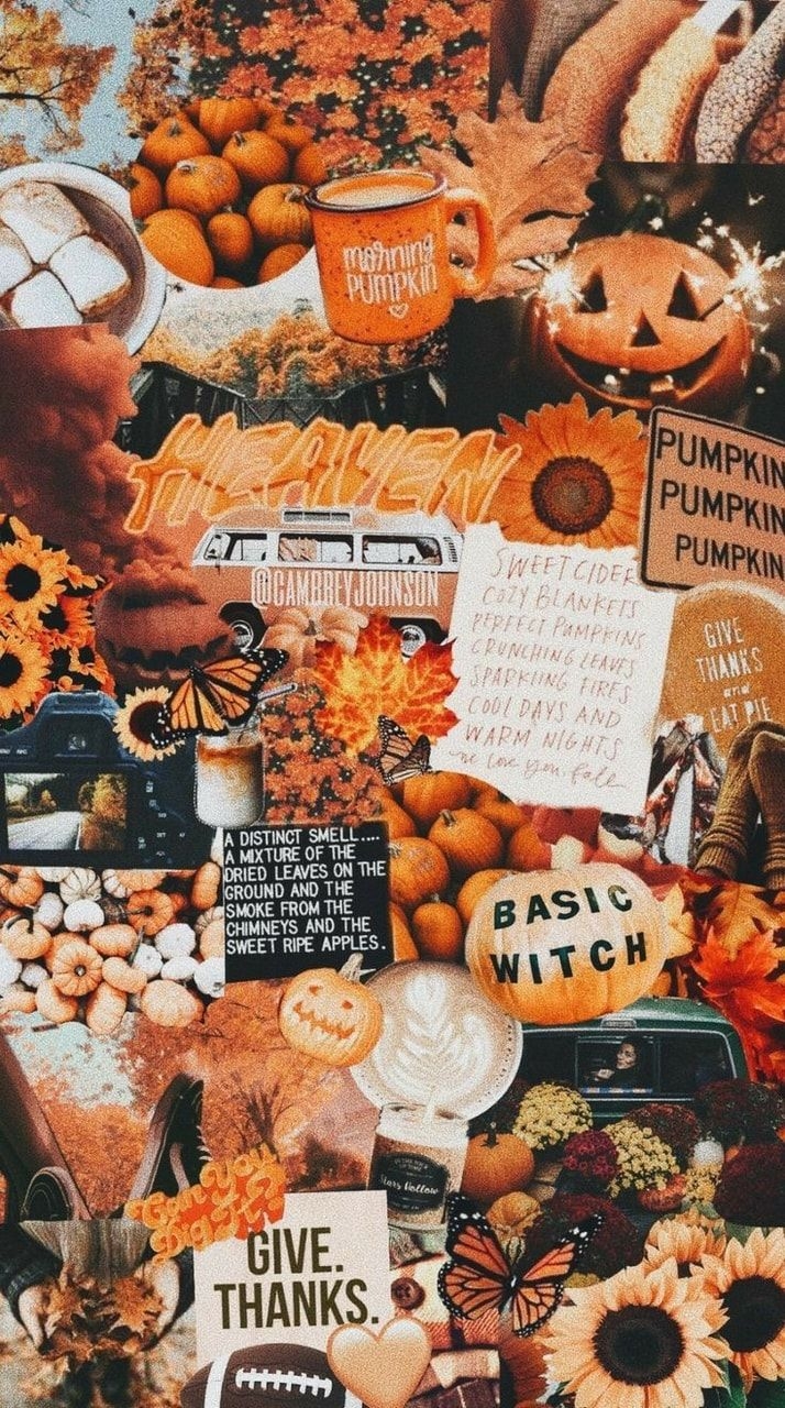 720x1280 autumn, pumpkin, aesthetic and wallpaper, Phone