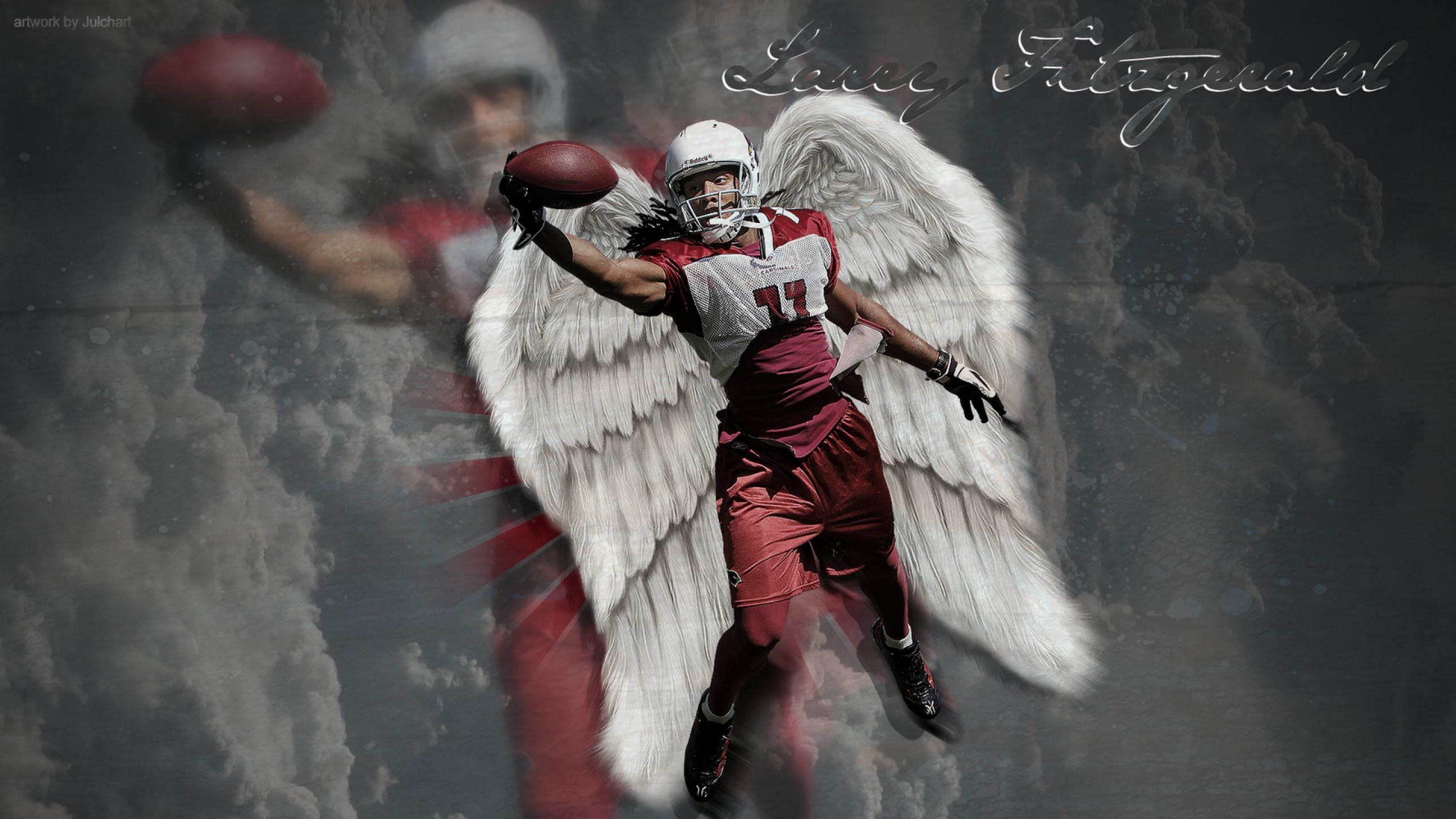 2560x1440 Larry Fitzgerald HD wallpaper, Desktop