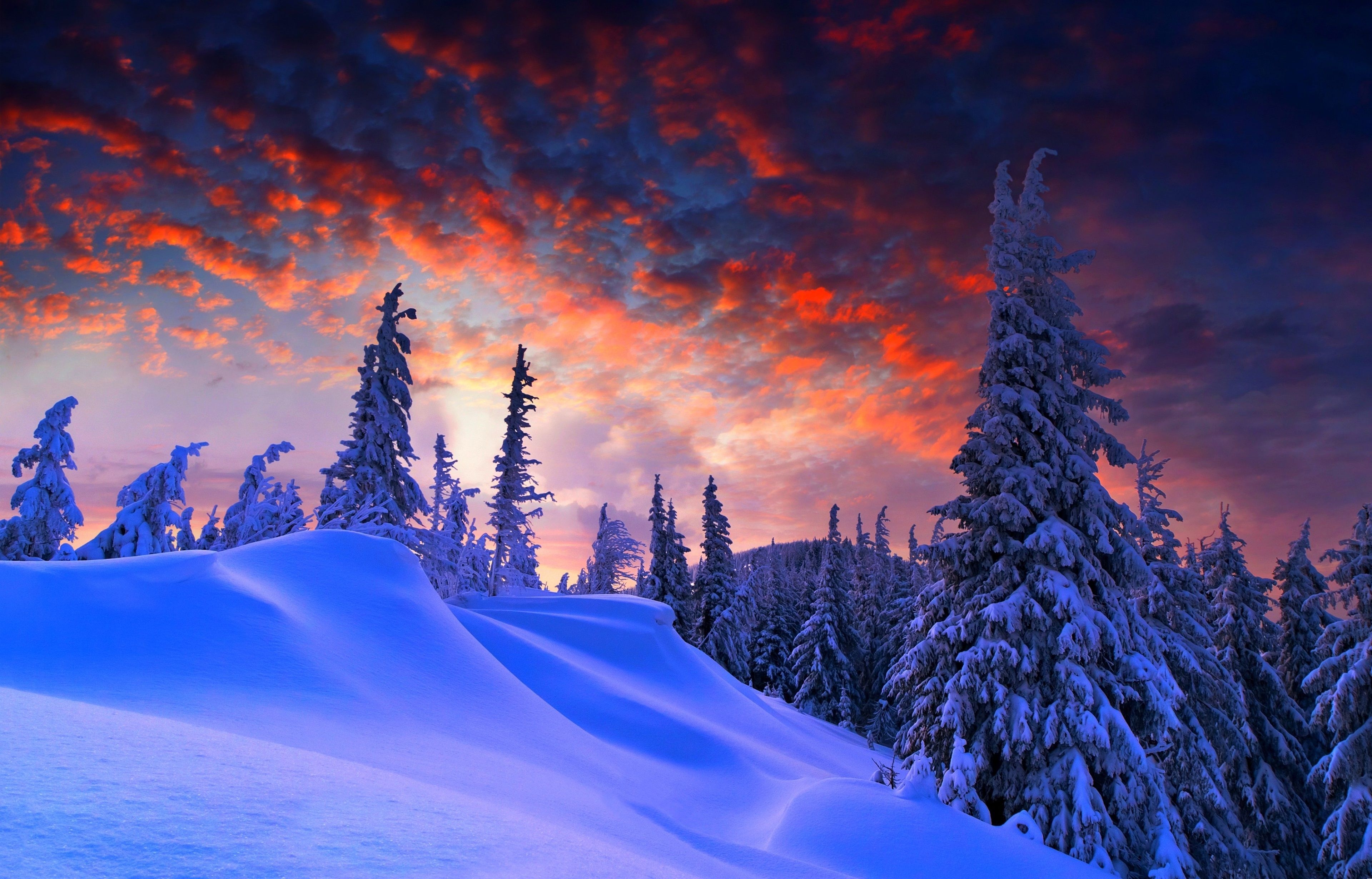 3840x2460 winter 4k desktop wallpaper HD. Winter wallpaper, Winter desktop background, Winter sunset, Desktop