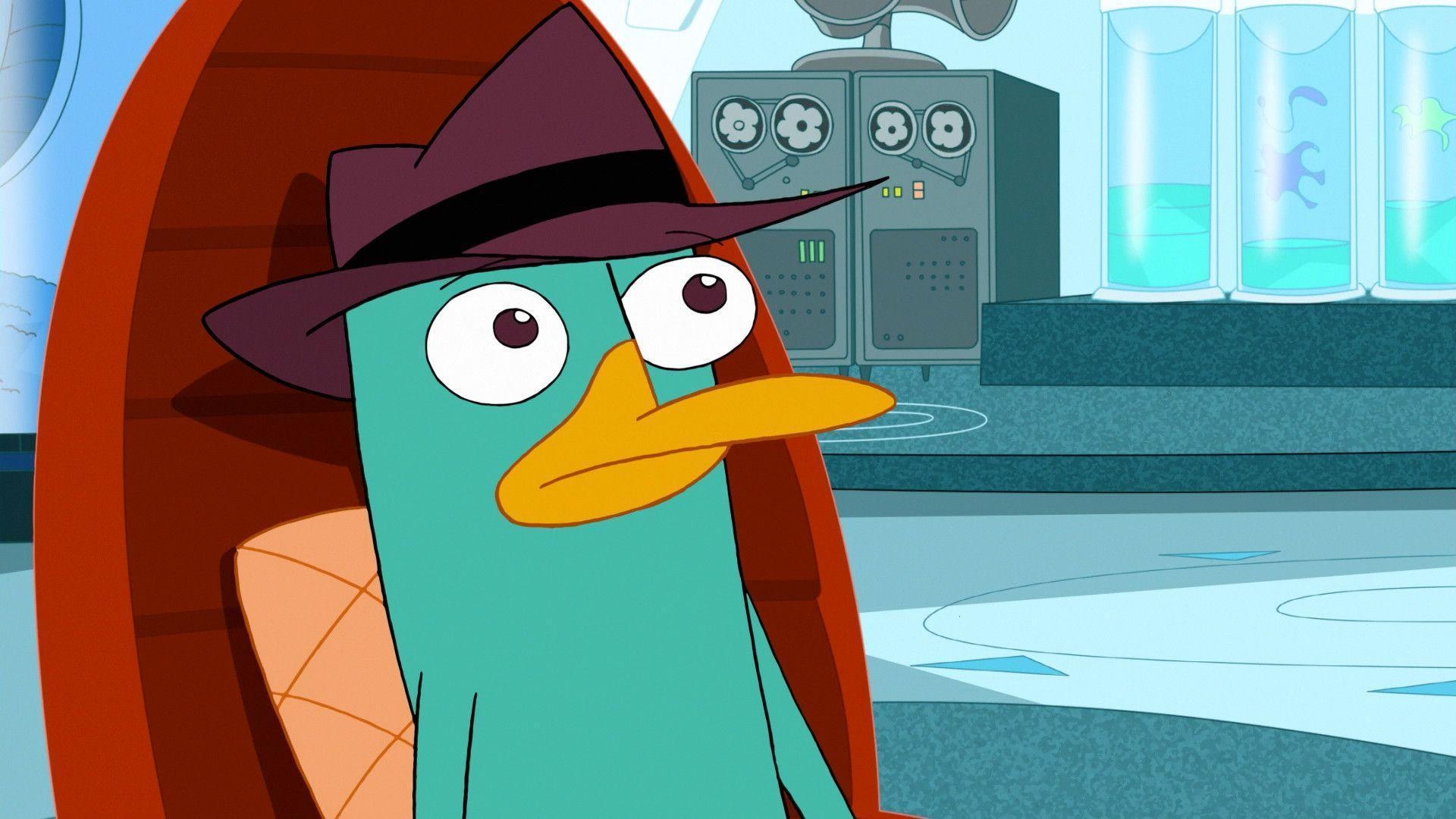 1920x1080 Perry The Platypus Cool Wallpaper Image, Wallpaper, HD, Desktop