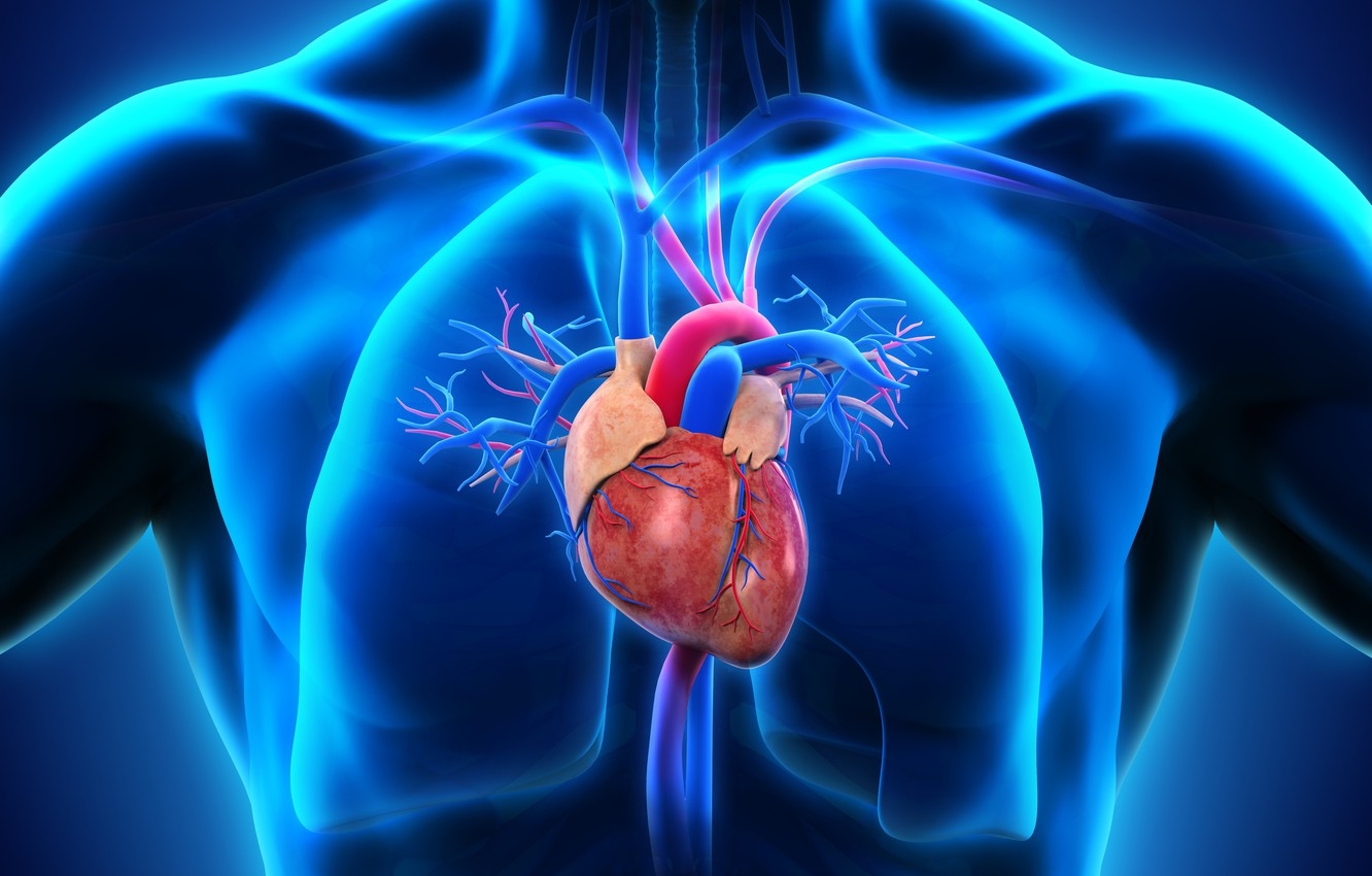 1340x850 Wallpaper Medicine, Desktop