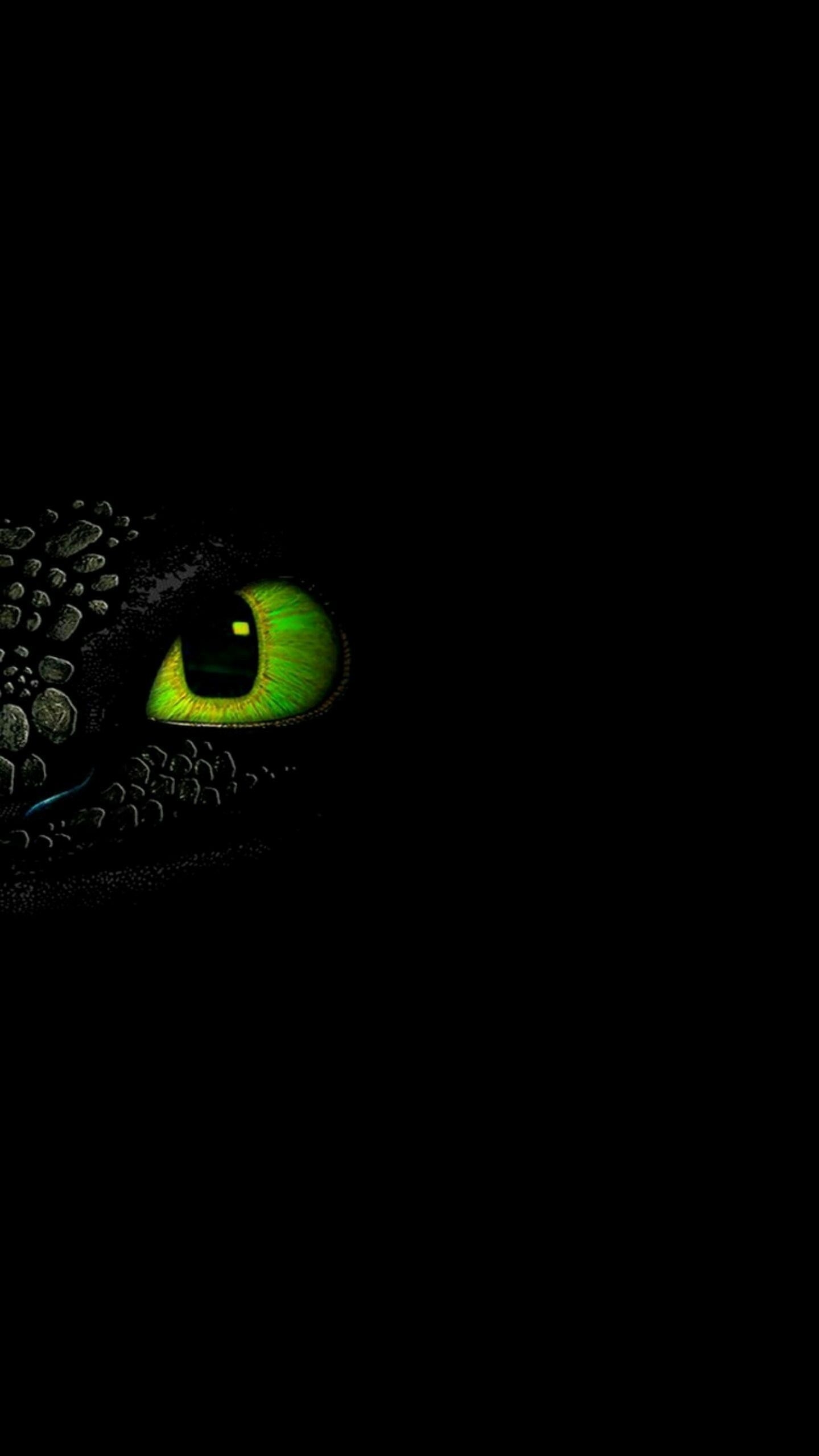 1440x2560 Night Fury Wallpaper Free Night Fury Background, Phone