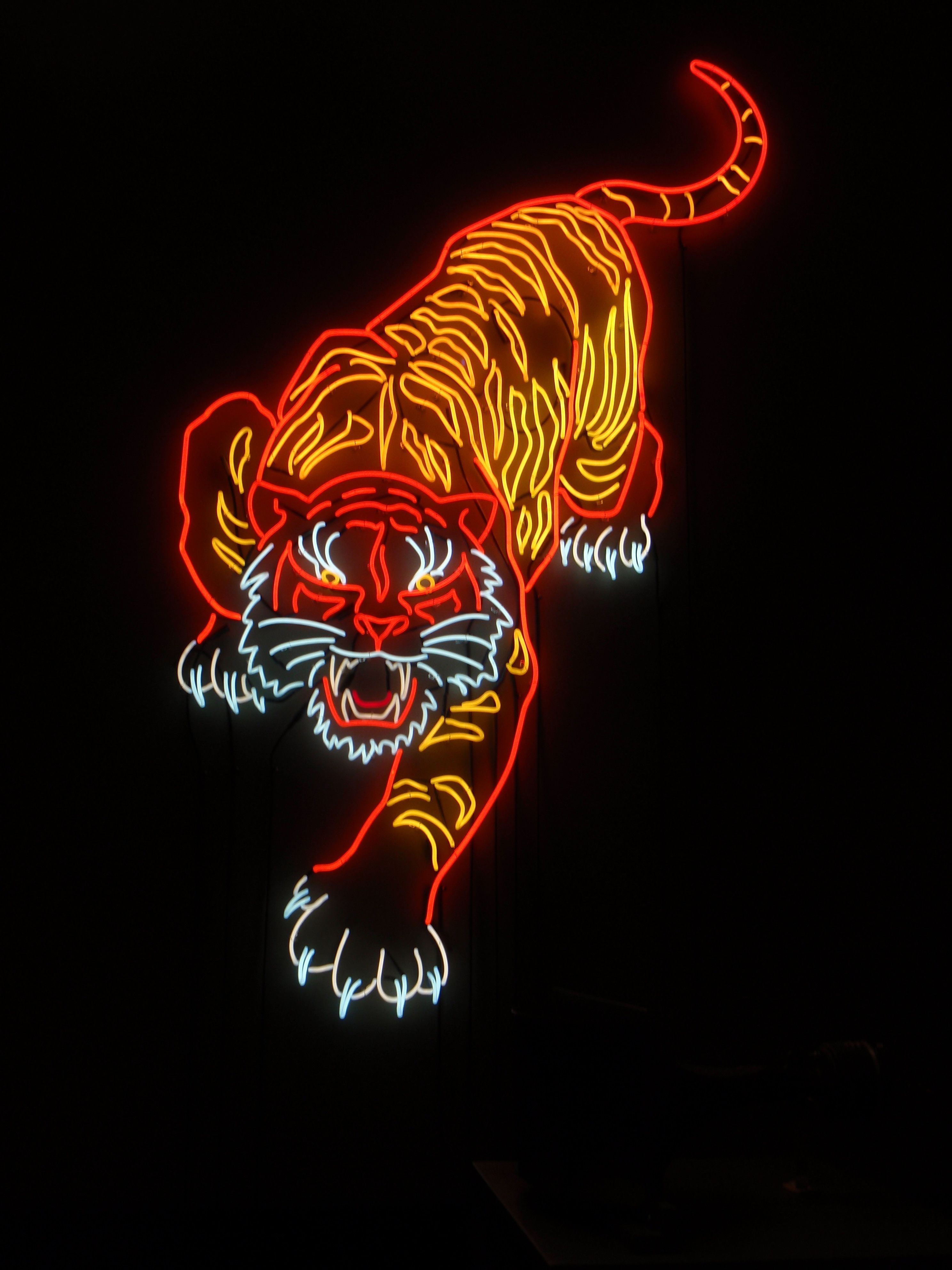 2980x3970 Neon Orange Tiger Aesthetic, Phone