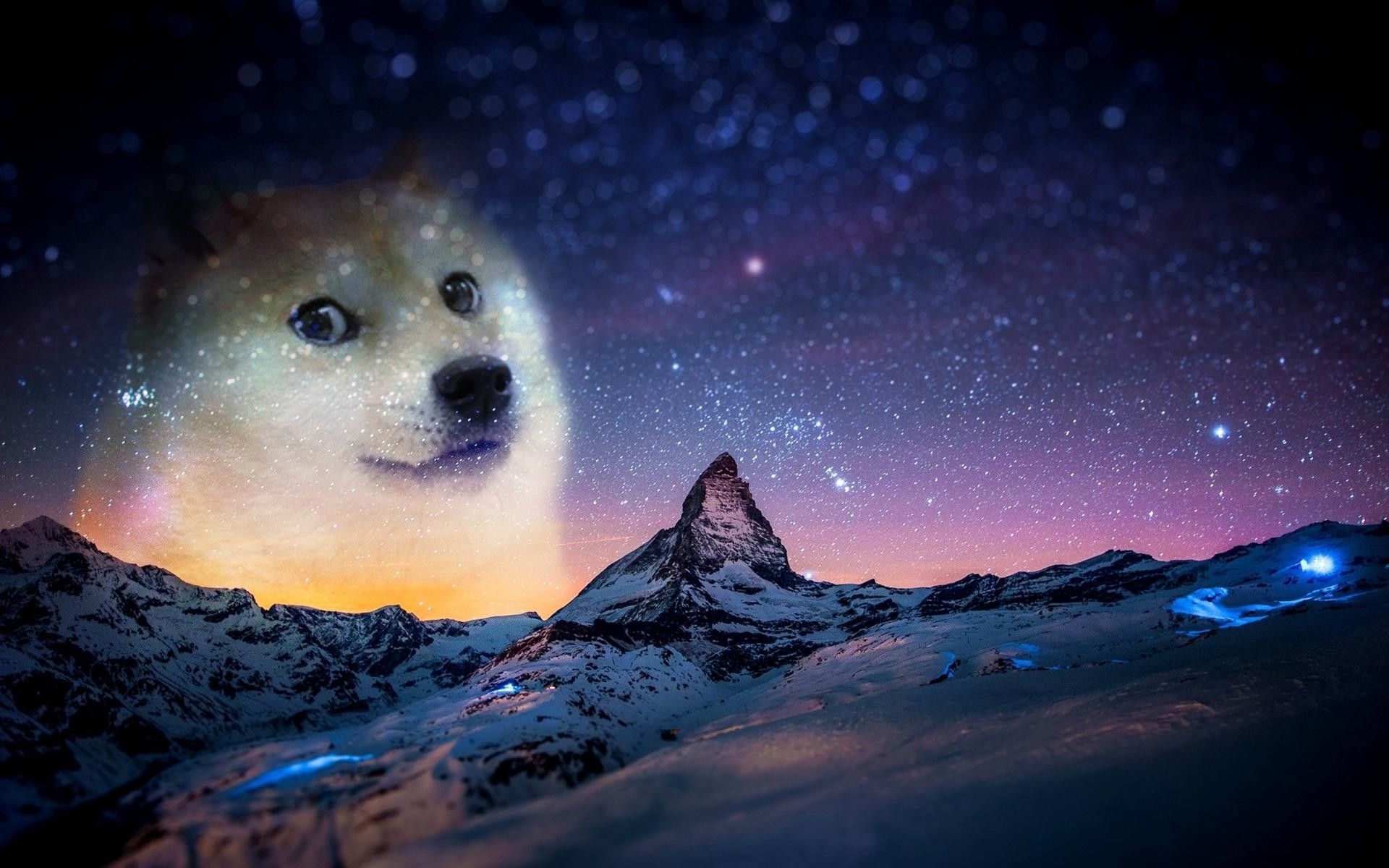 1920x1200 Doge Background HD. HD Wallpaper, 3D HD, Desktop