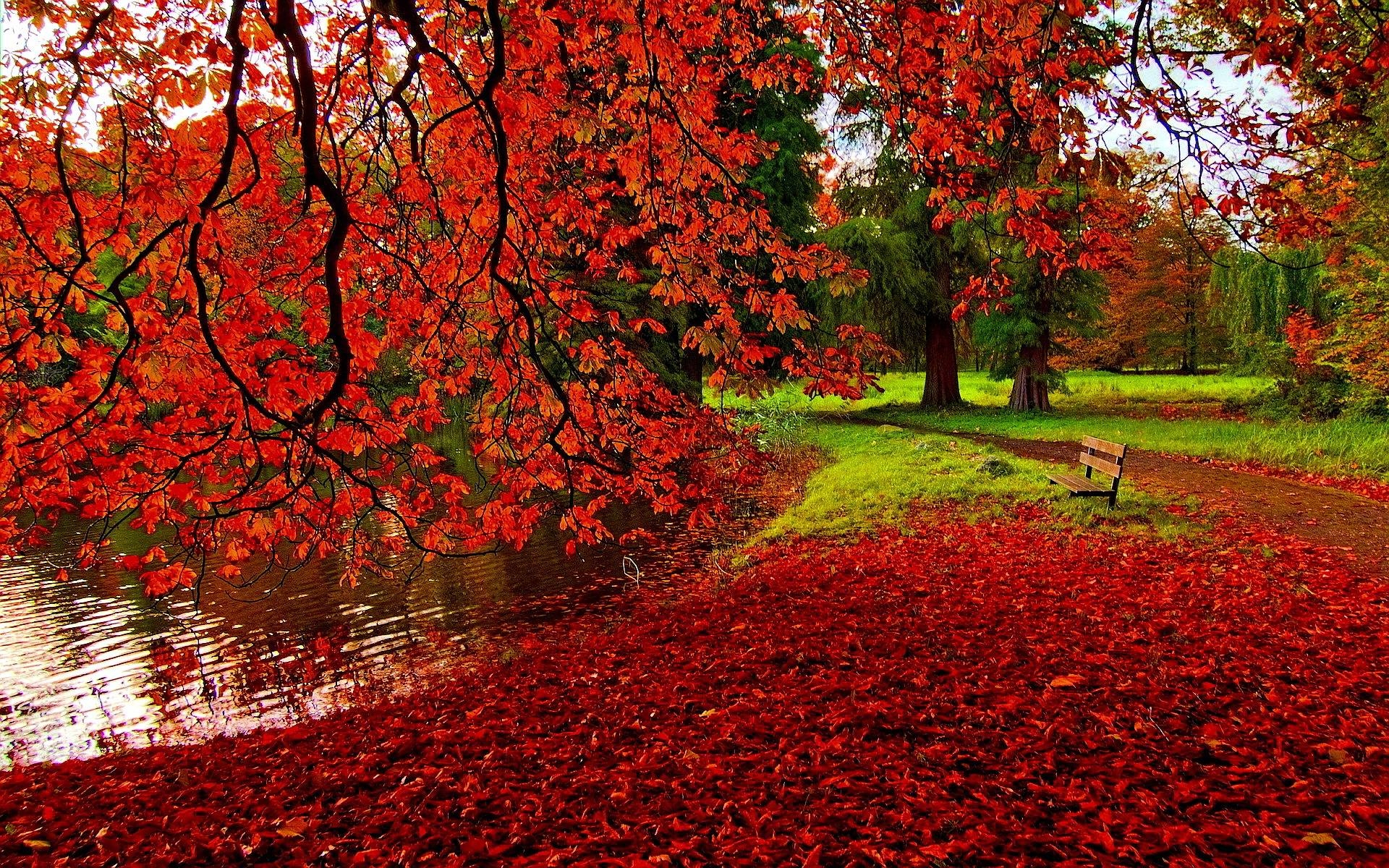 1920x1200 Autumn Wallpaper HD wallpaper search, Desktop