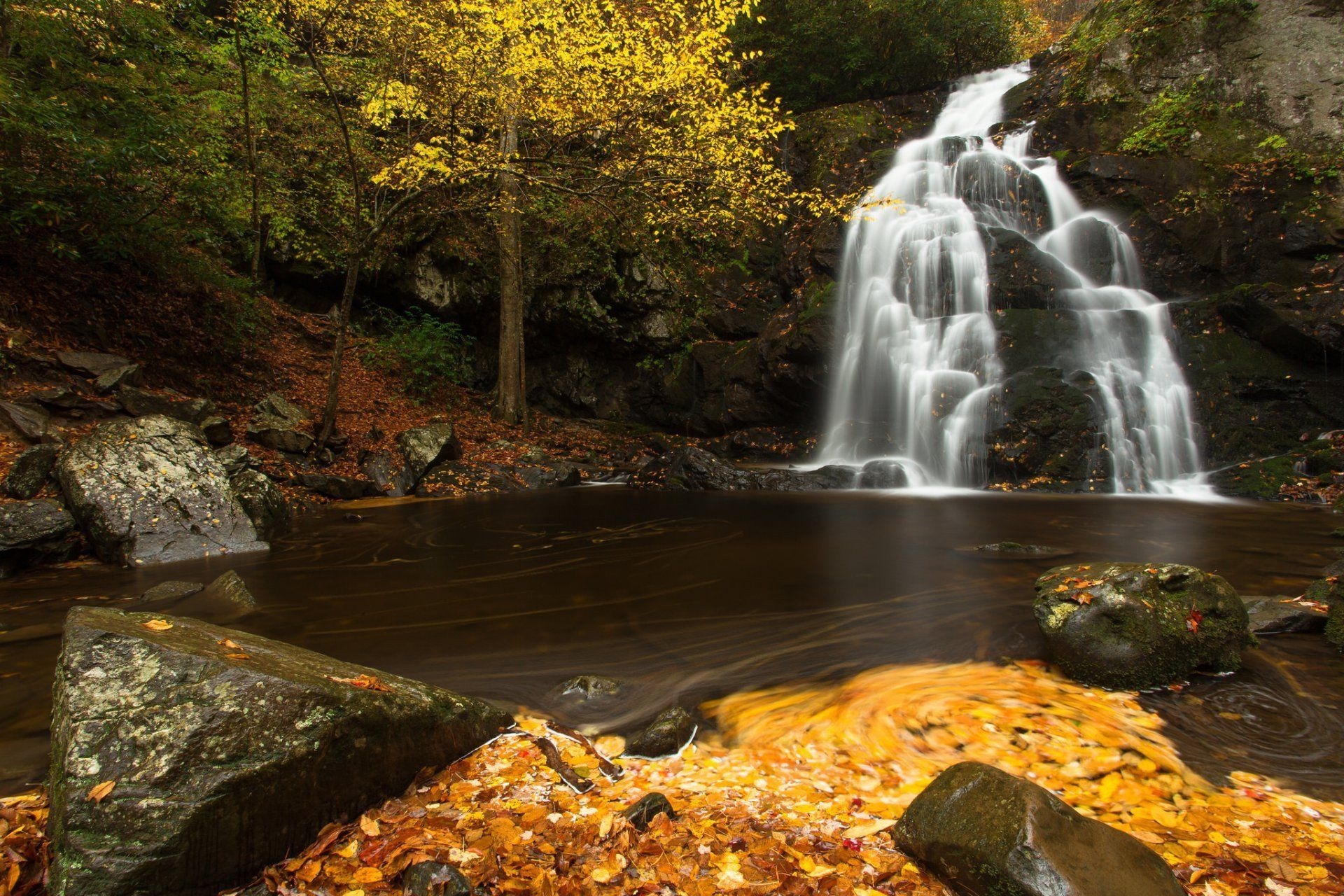 1920x1280 spruce, Flats, Falls, Great, Smoky, Mountains, National, Park, Desktop