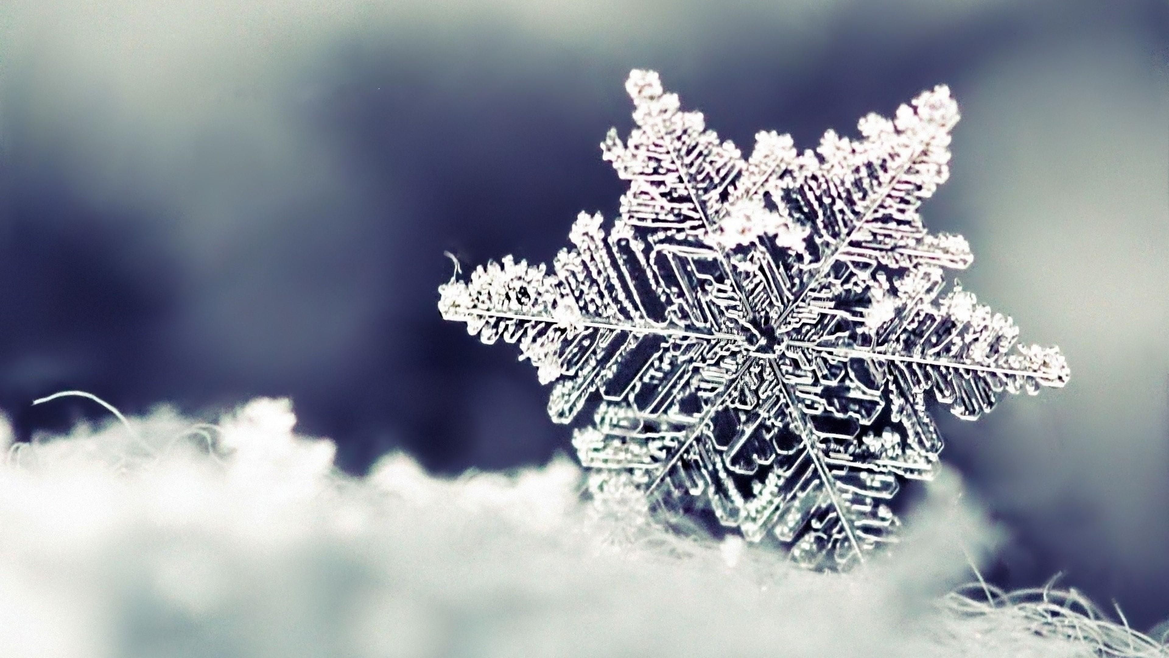 3840x2160 Snowflake Collection See All #Wallpaper, #wallpaper #background #nature. Good morning winter image, Snowflake wallpaper, Nature background iphone, Desktop