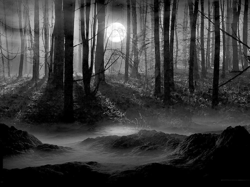 1030x770 Black And White Picture Anime Forest 34 Wide Wallpaper, Desktop