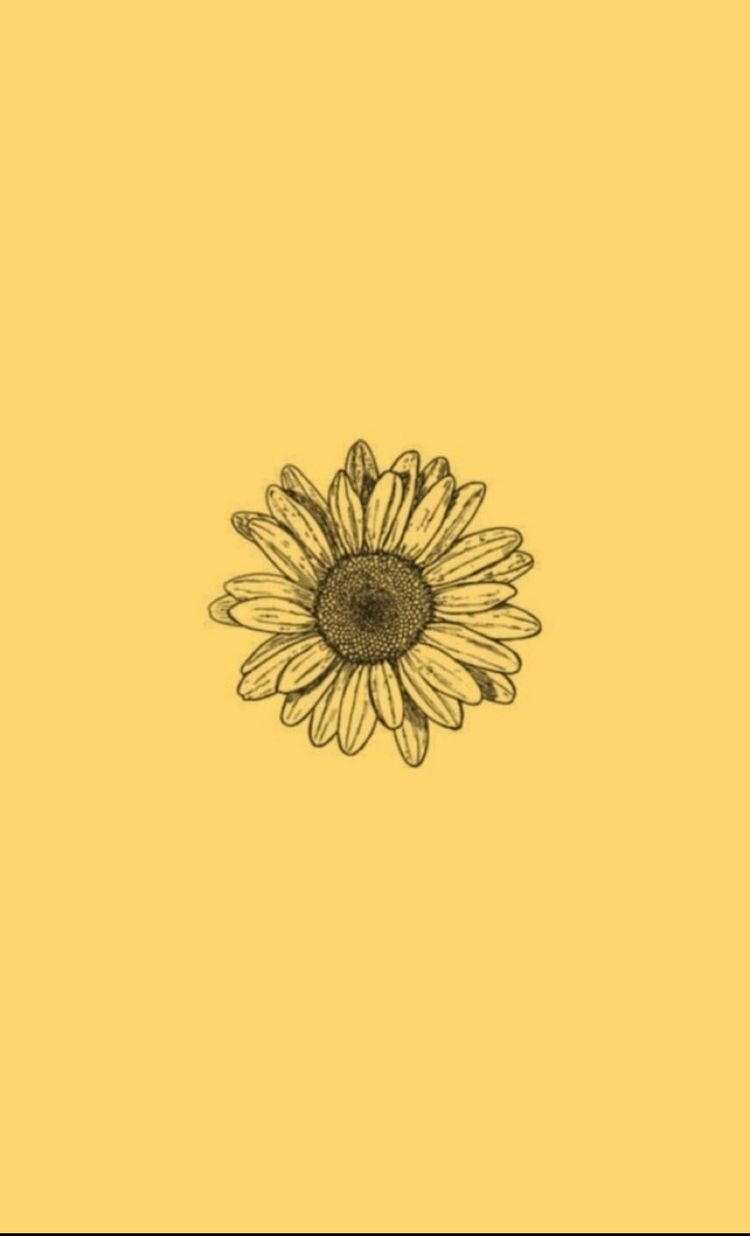 750x1240 Aesthetic Yellow Flower Drawing HD Wallpaper, Phone